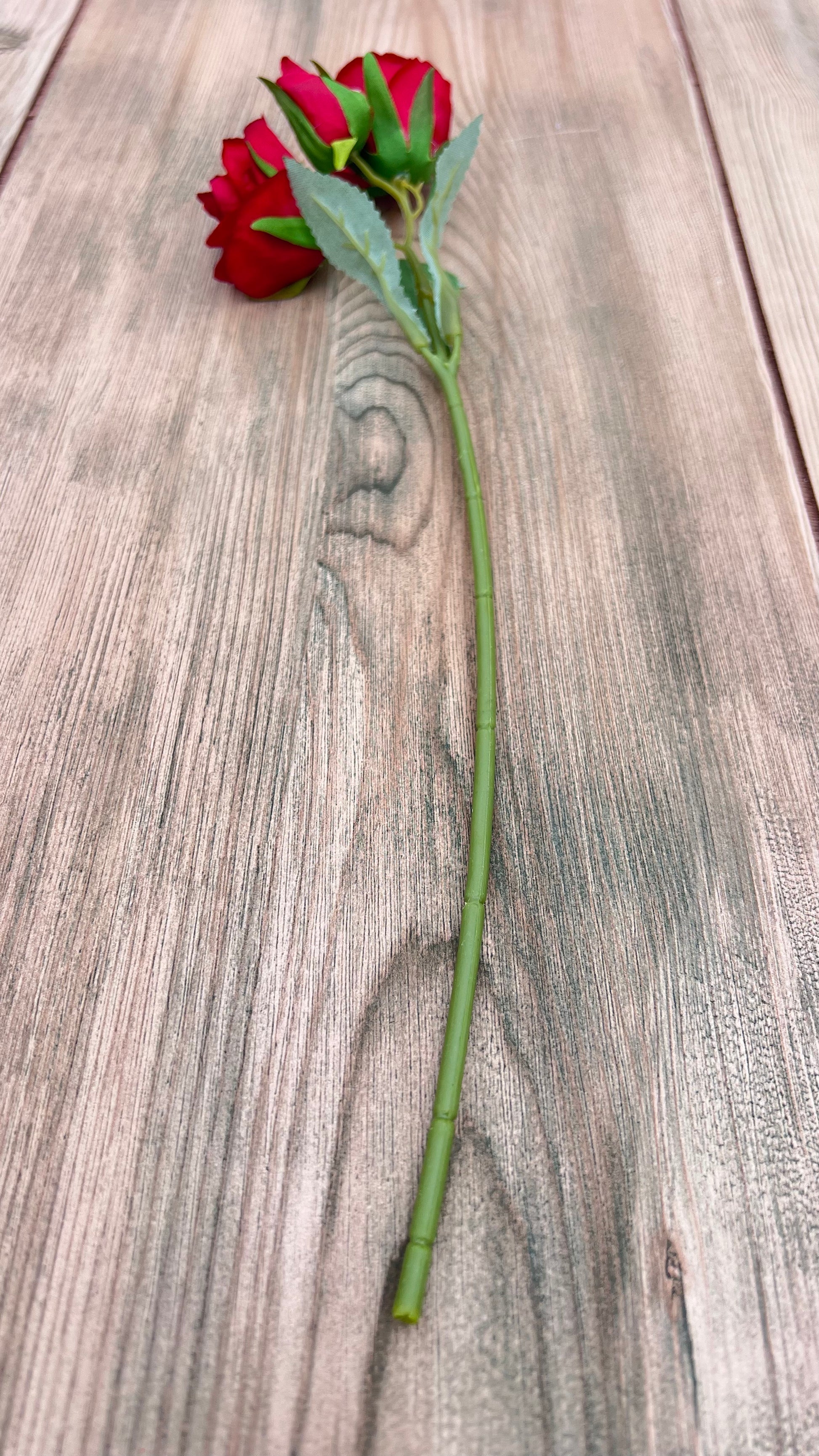Single stem from the Red Rose Bundle  showing rose bloom, bud, foliage, and stem detail