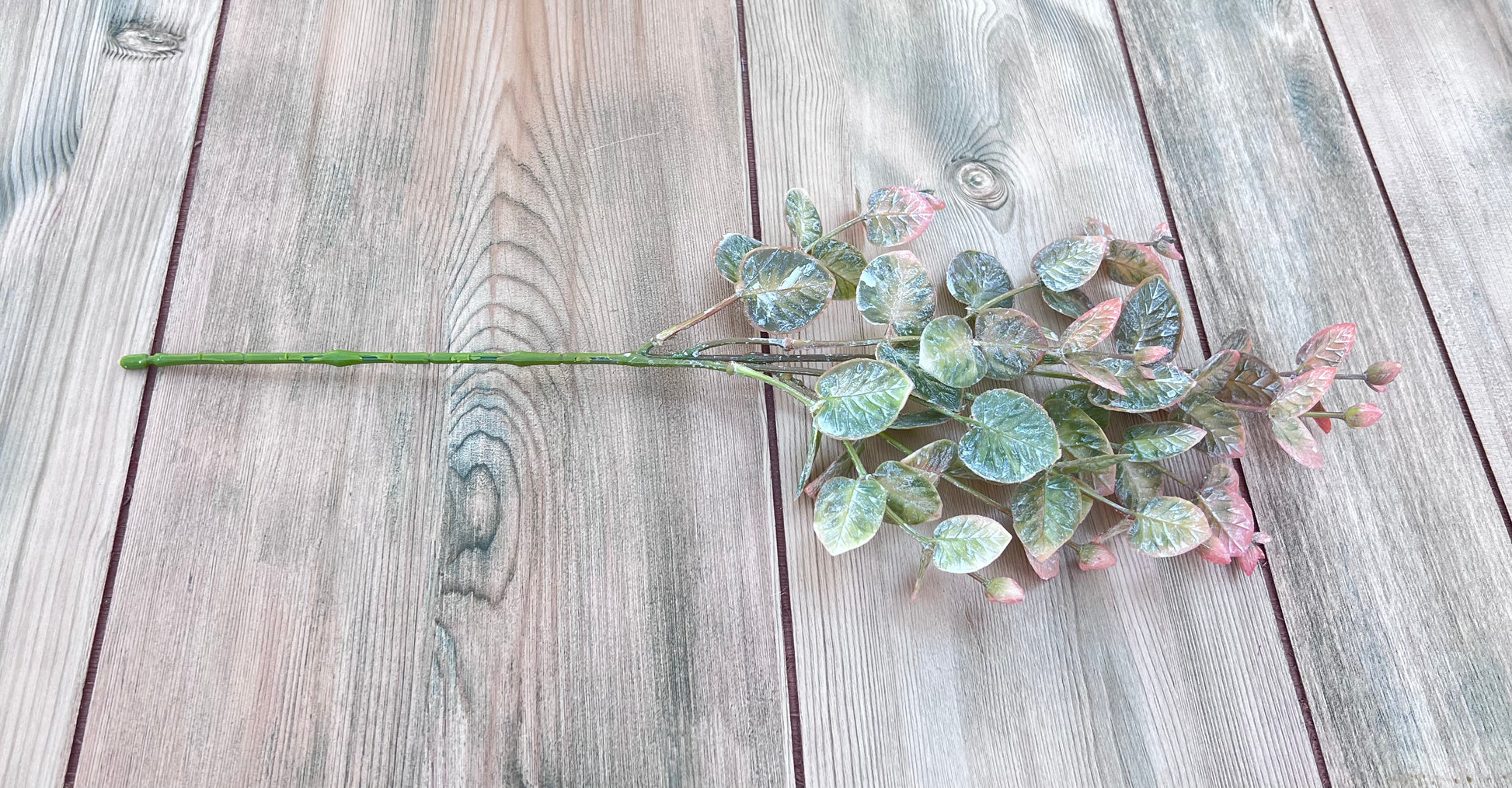 Single stem section from Wild Grass Bundle-Frosted Blush greenery bundle
