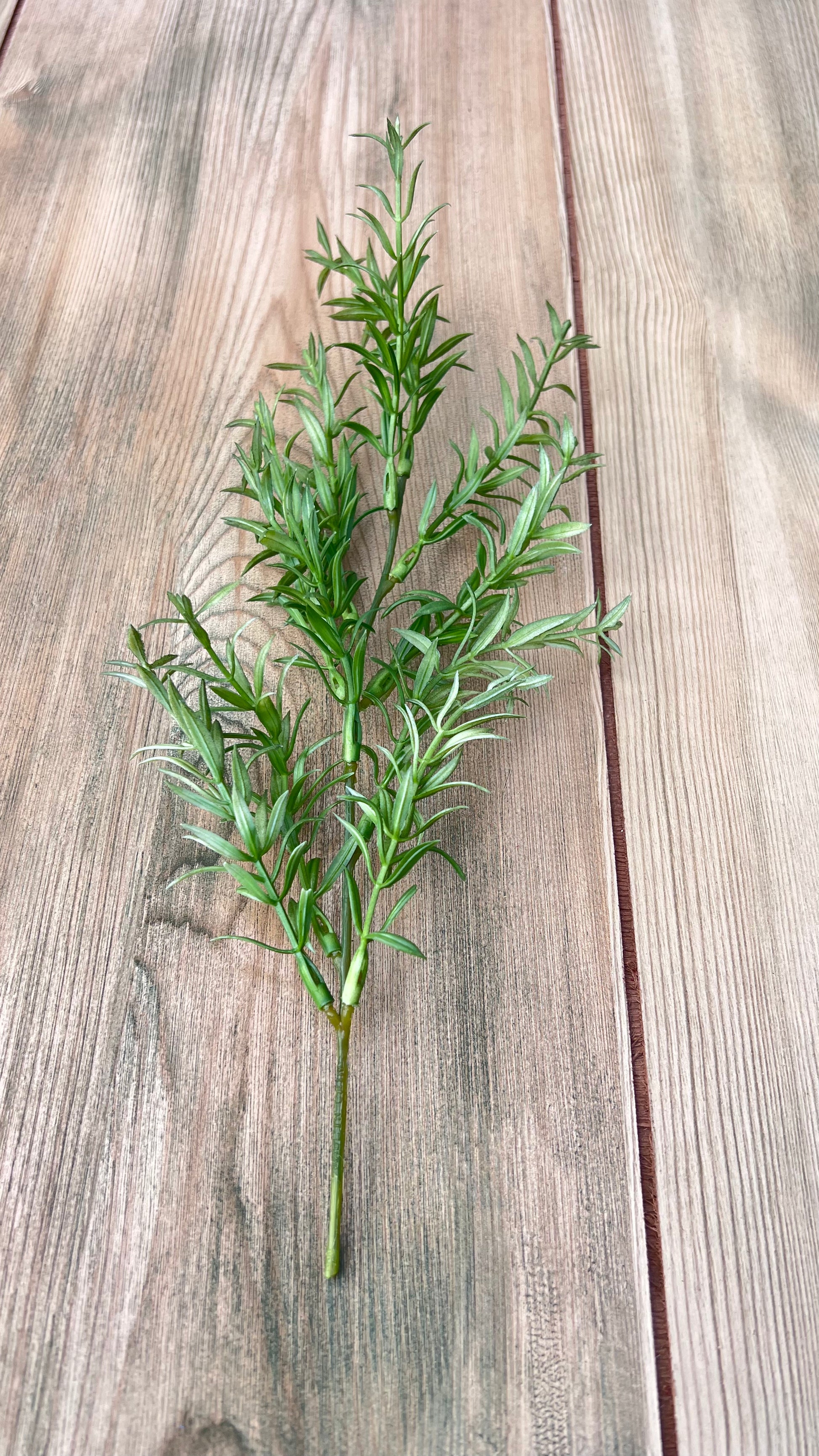 Individual stem detail of Rosemary Bush with realistic needle-like foliage