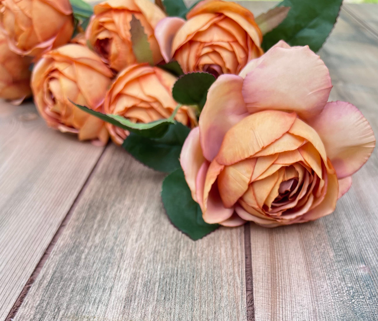 Single stem from Sunset Rust Cabbage Rose Bush showing bloom size, shape, and coloration