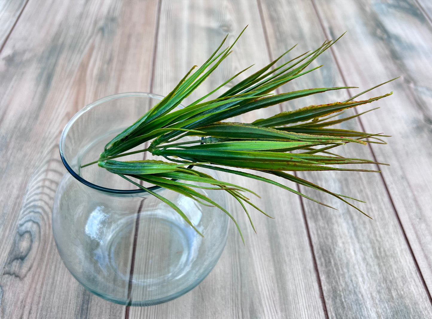 Single Stem form our Fine Grass Bush | Yellow Green showing blade length and design potential