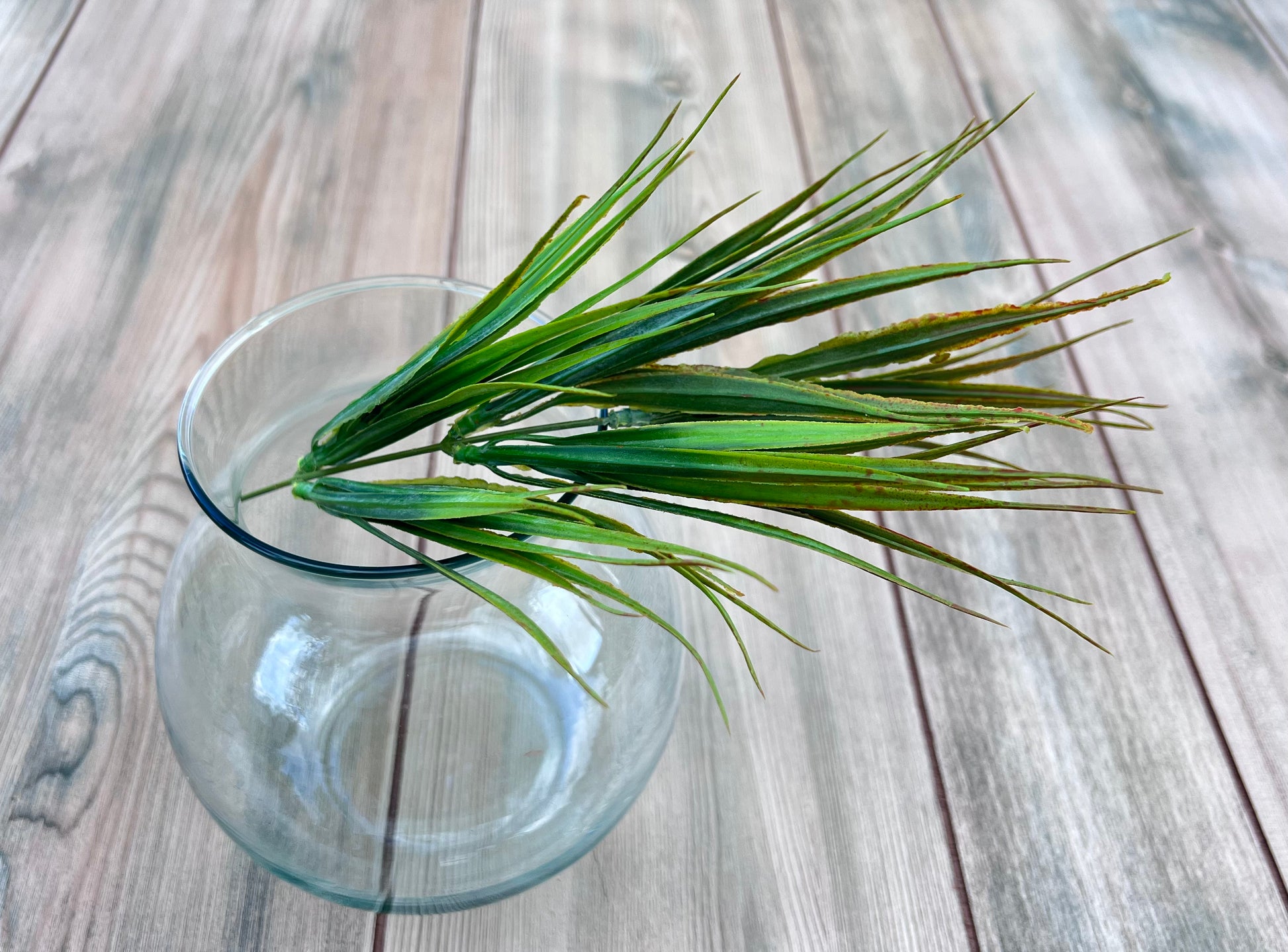 Single Stem form our Fine Grass Bush | Yellow Green showing blade length and design potential