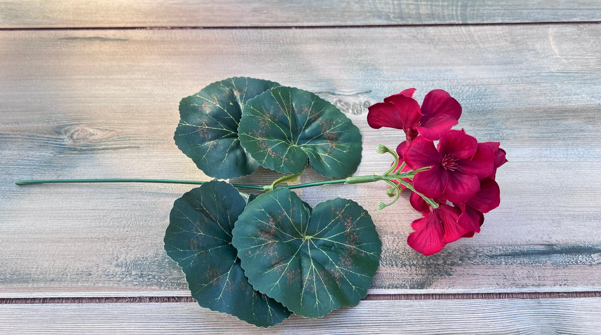 Single stem from our Red Geranium Bush displaying adjustable foliage, bloom cluster, and stem construction
