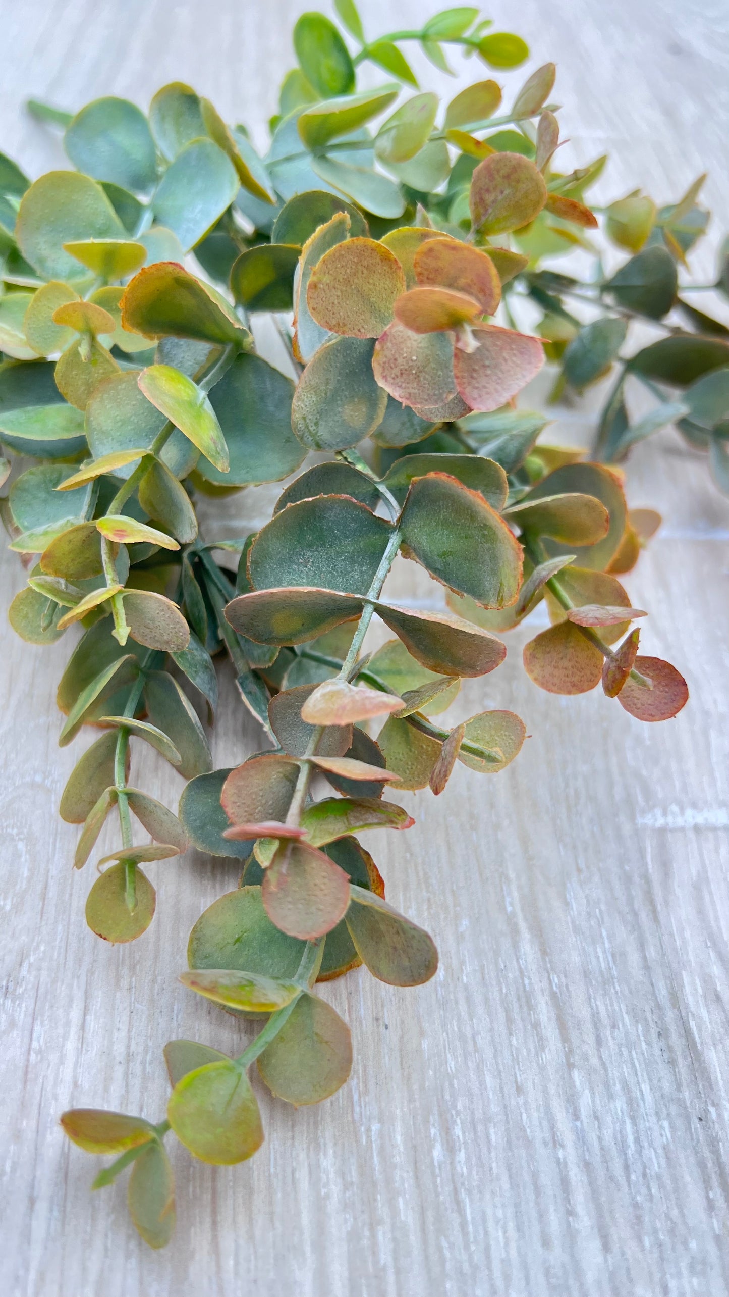 Close-up botanical detail of Bronze Tips faux eucalyptus leaves with dusty blue-green coloring and bronze edges