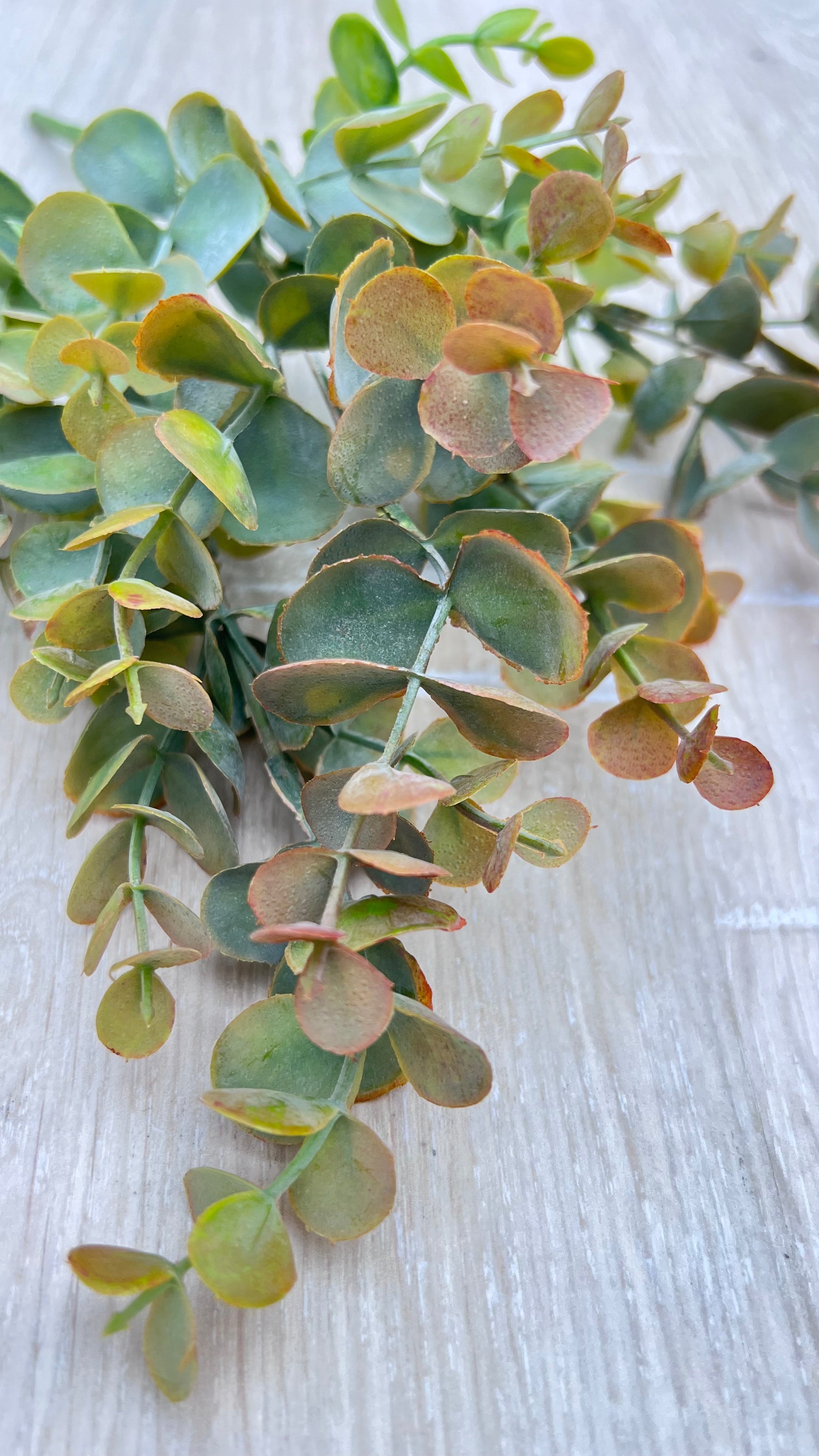 Close-up botanical detail of Bronze Tips faux eucalyptus leaves with dusty blue-green coloring and bronze edges
