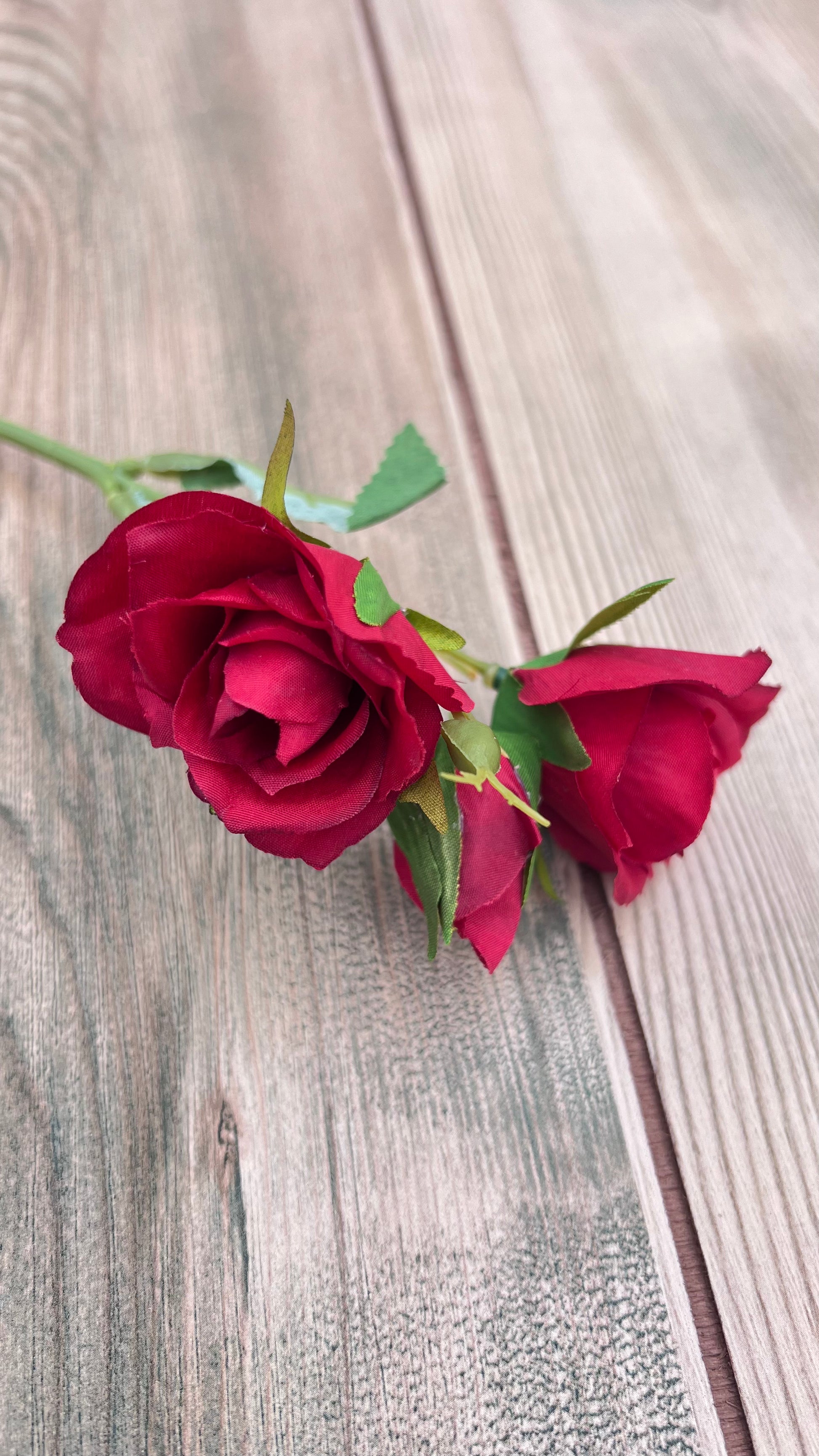 Red rose bloom close-up detailing layered petals, bud detail, and realistic botanical features