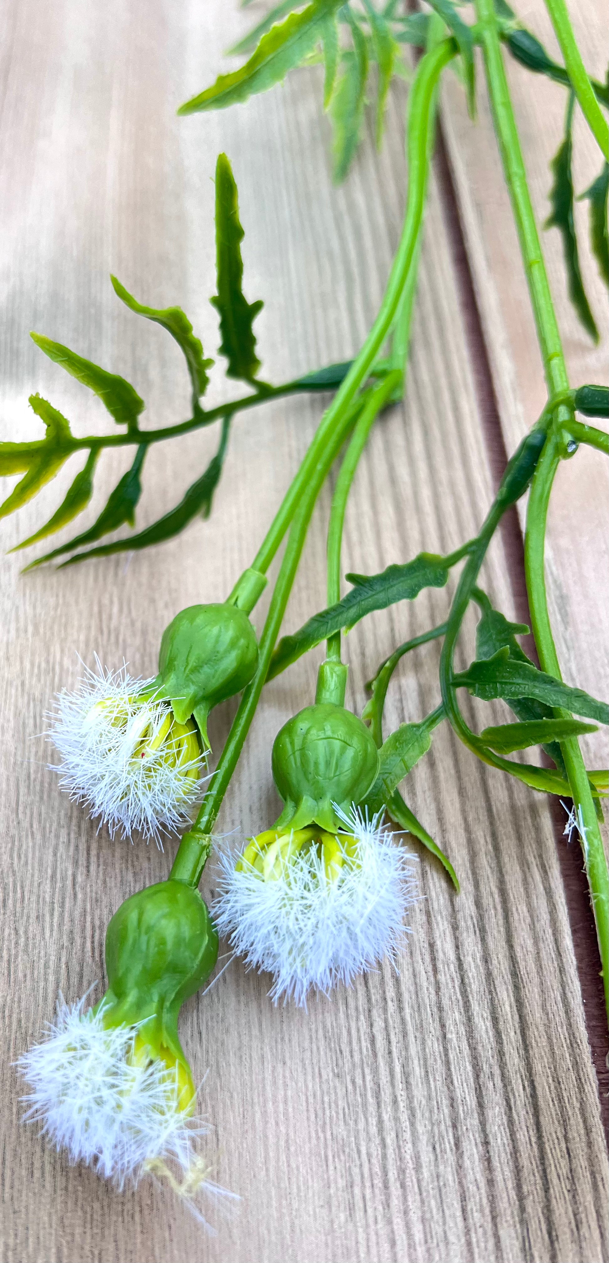 Botanical detail of Cream Meadow Pod Spray highlighting tufted blooms and foliage