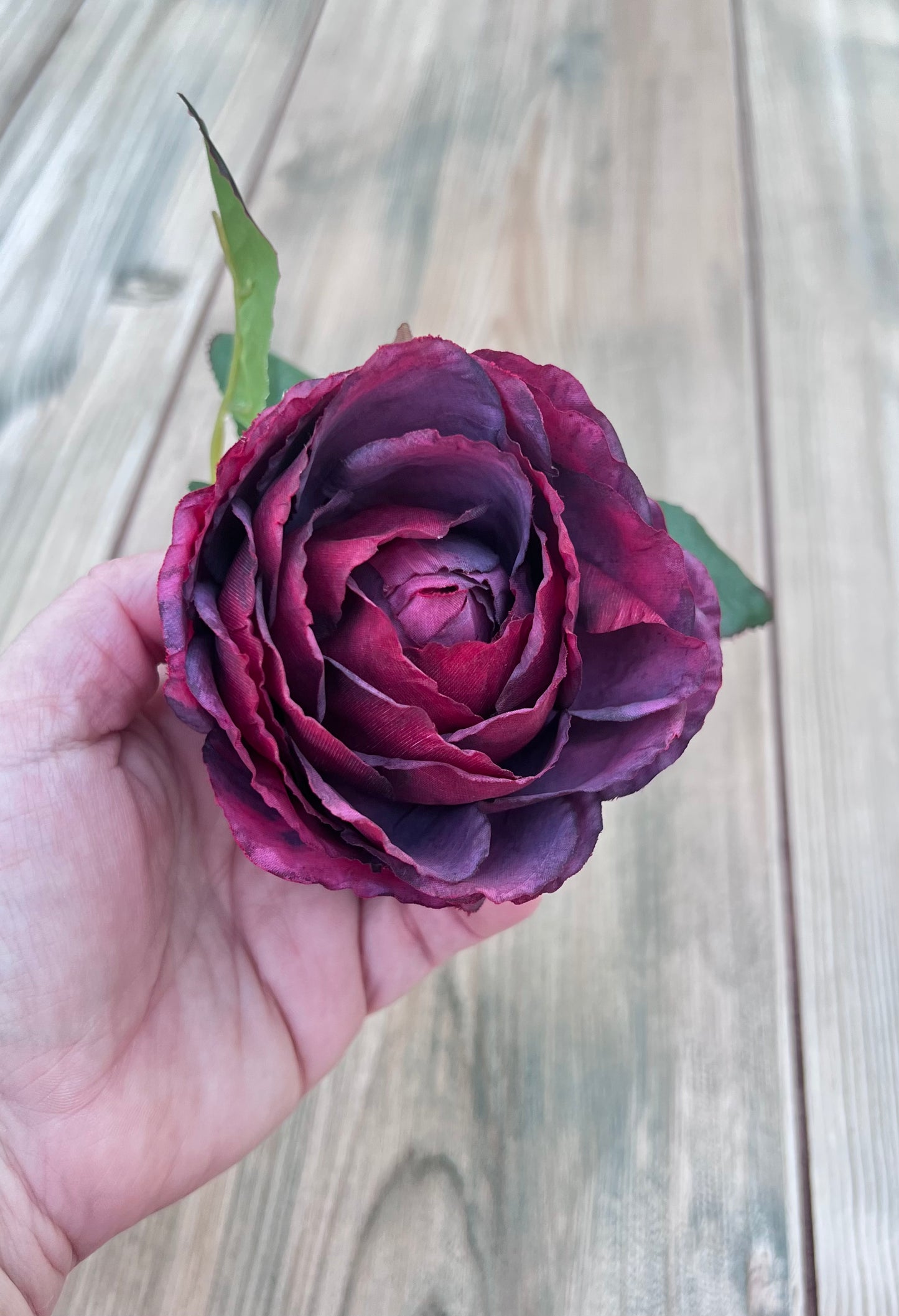 Botanical detail of Raspberry Plum cabbage rose petals and realistic leaf construction