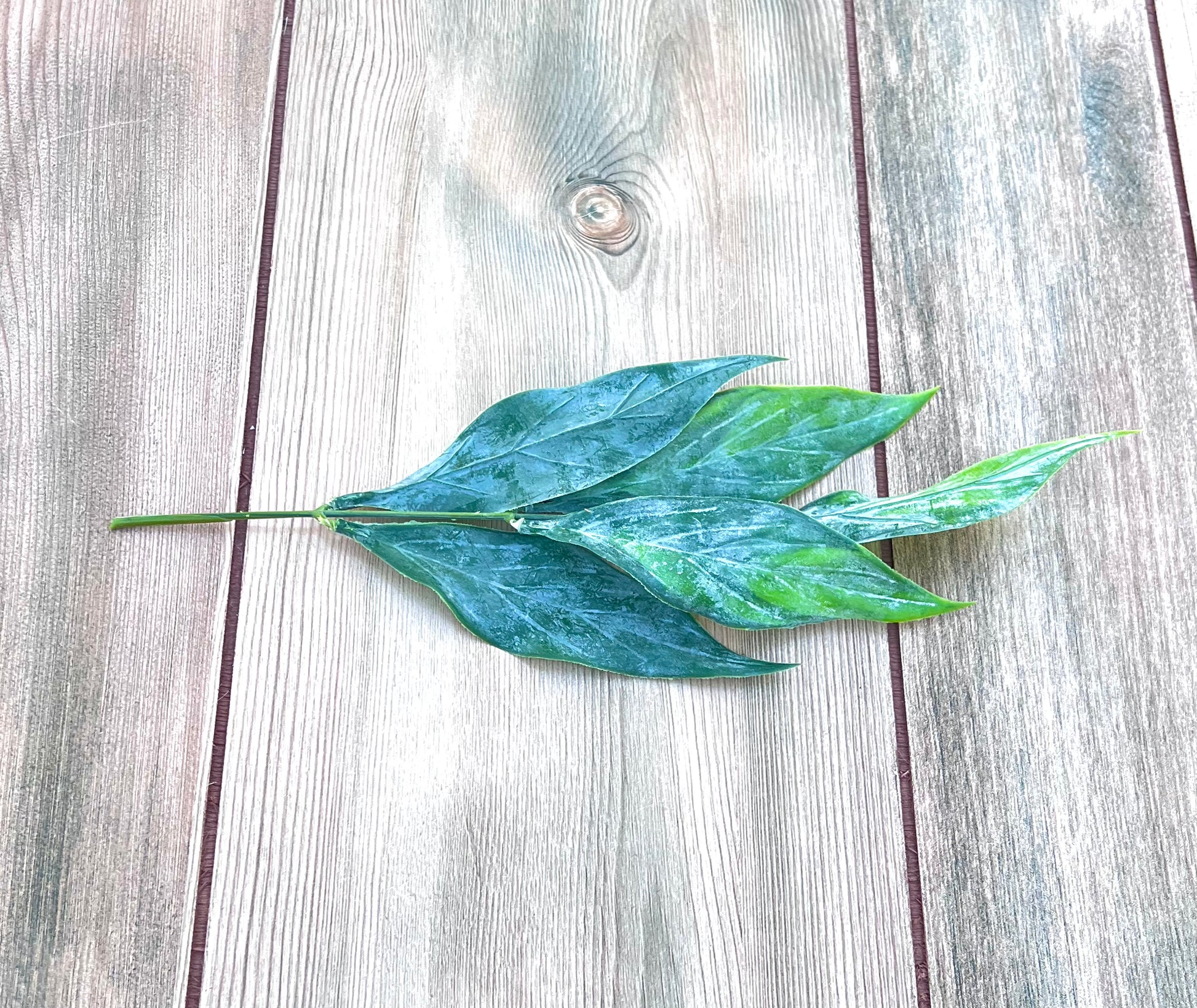Leaf Bush- Green Tips close-up highlighting realistic foliage veining and botanical detail