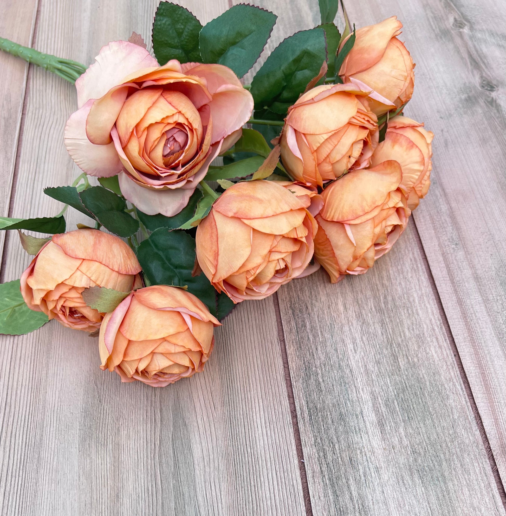 Botanical detail of Sunset Rust Cabbage Rose Bush bloom showing layered petals and realistic rose form