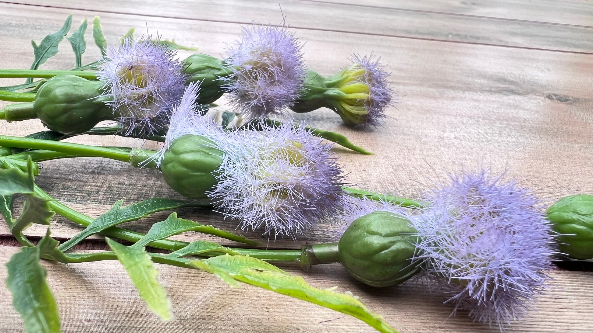 Botanical foliage detail of the Purple Meadow Pod Spray showing leaf shape and greenery texture