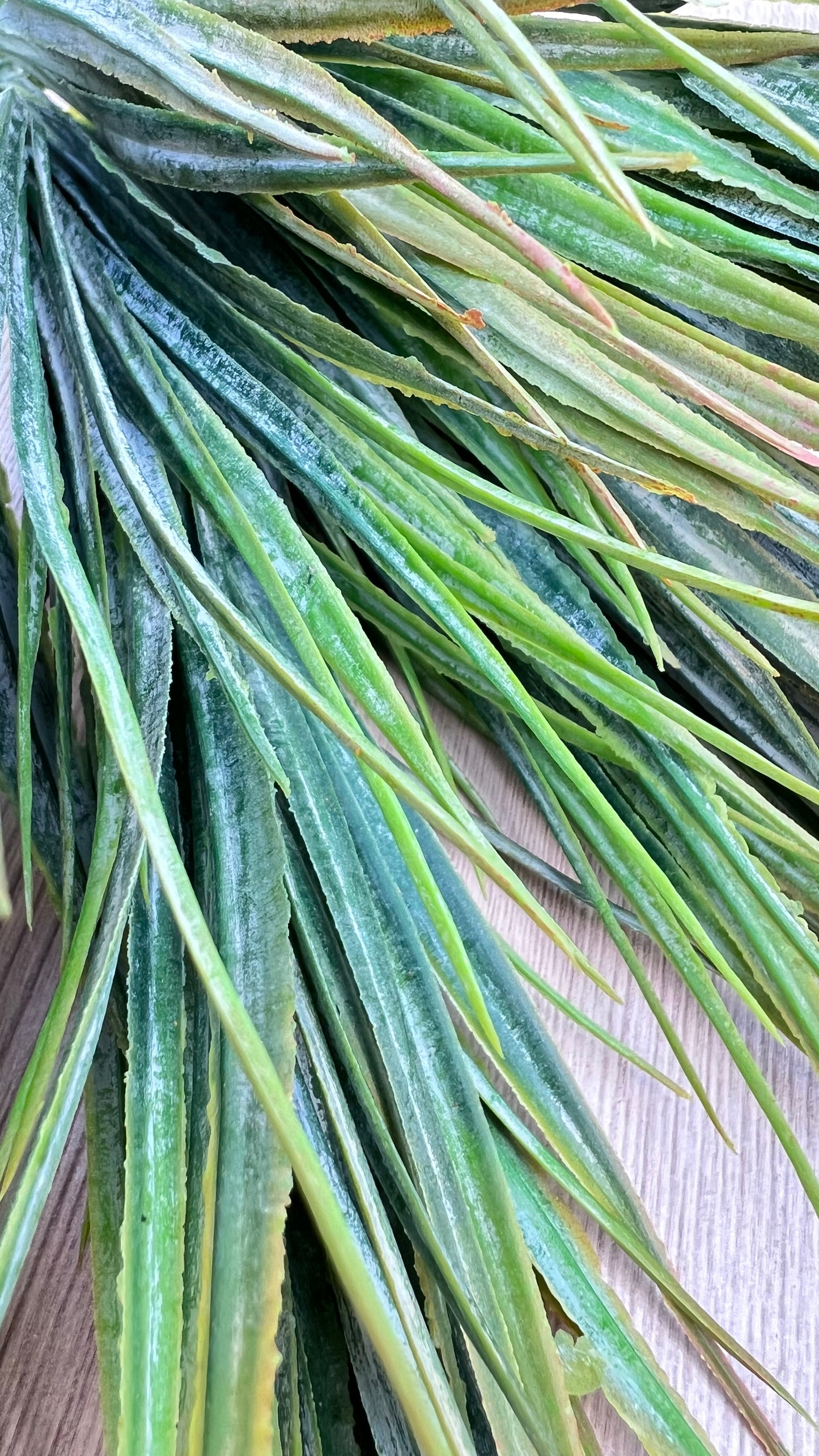 Close up botanical detail of our Fine Grass Bush | Yellow Green variegated grass blades