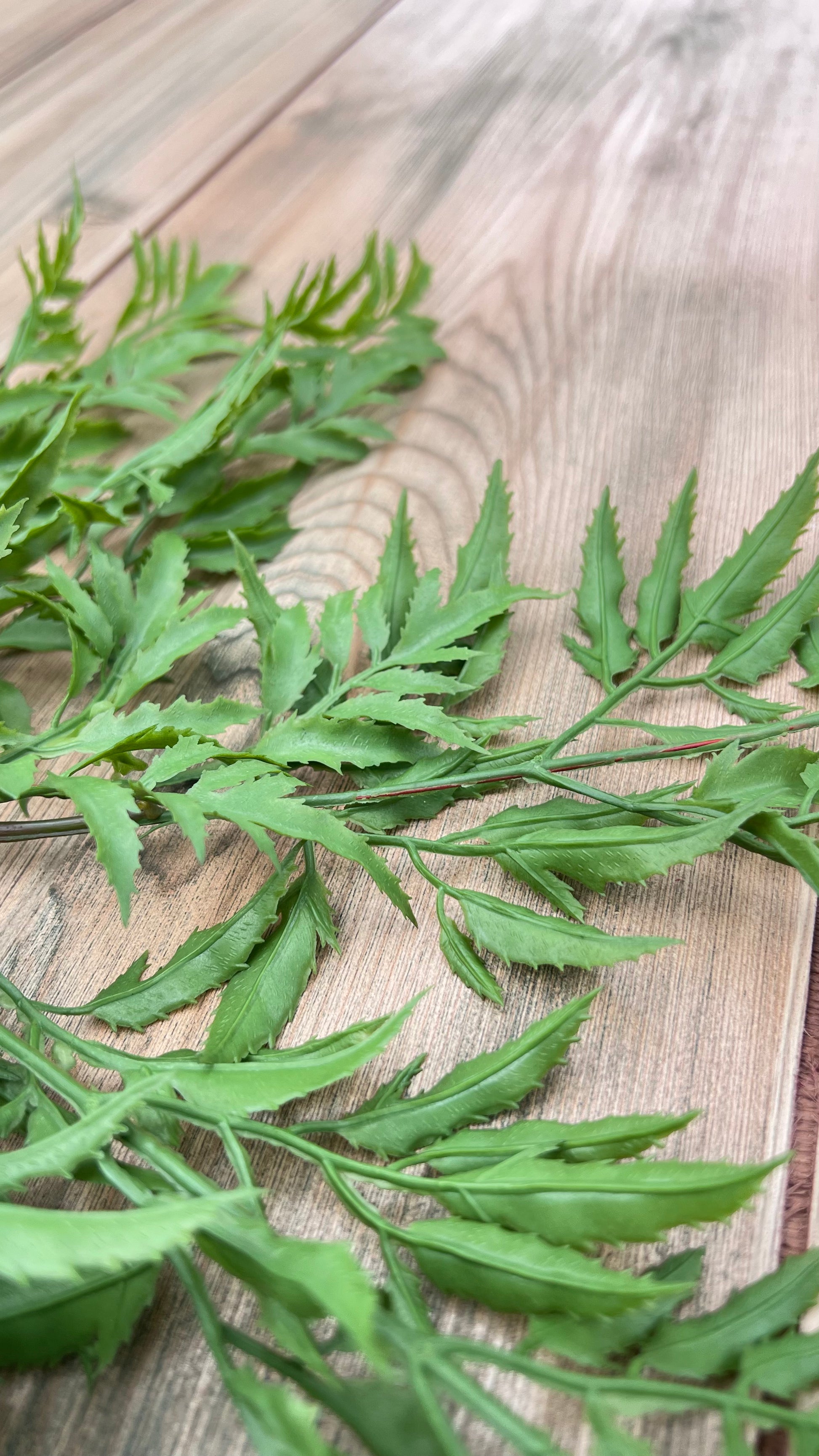 Fine-textured foliage detail of our Ming Aralia Spray greenery