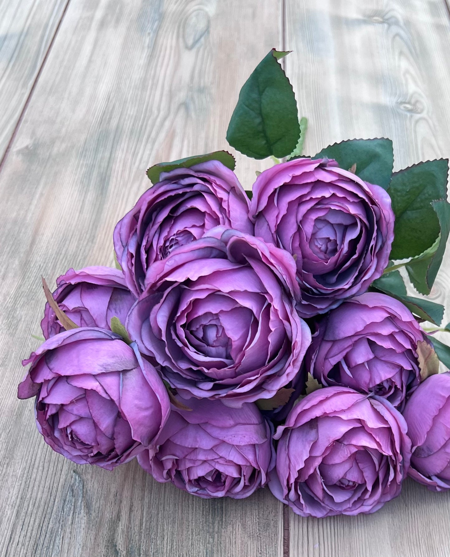 Close-up texture of Antique Violet cabbage rose petals highlighting layered fabric details and natural variation