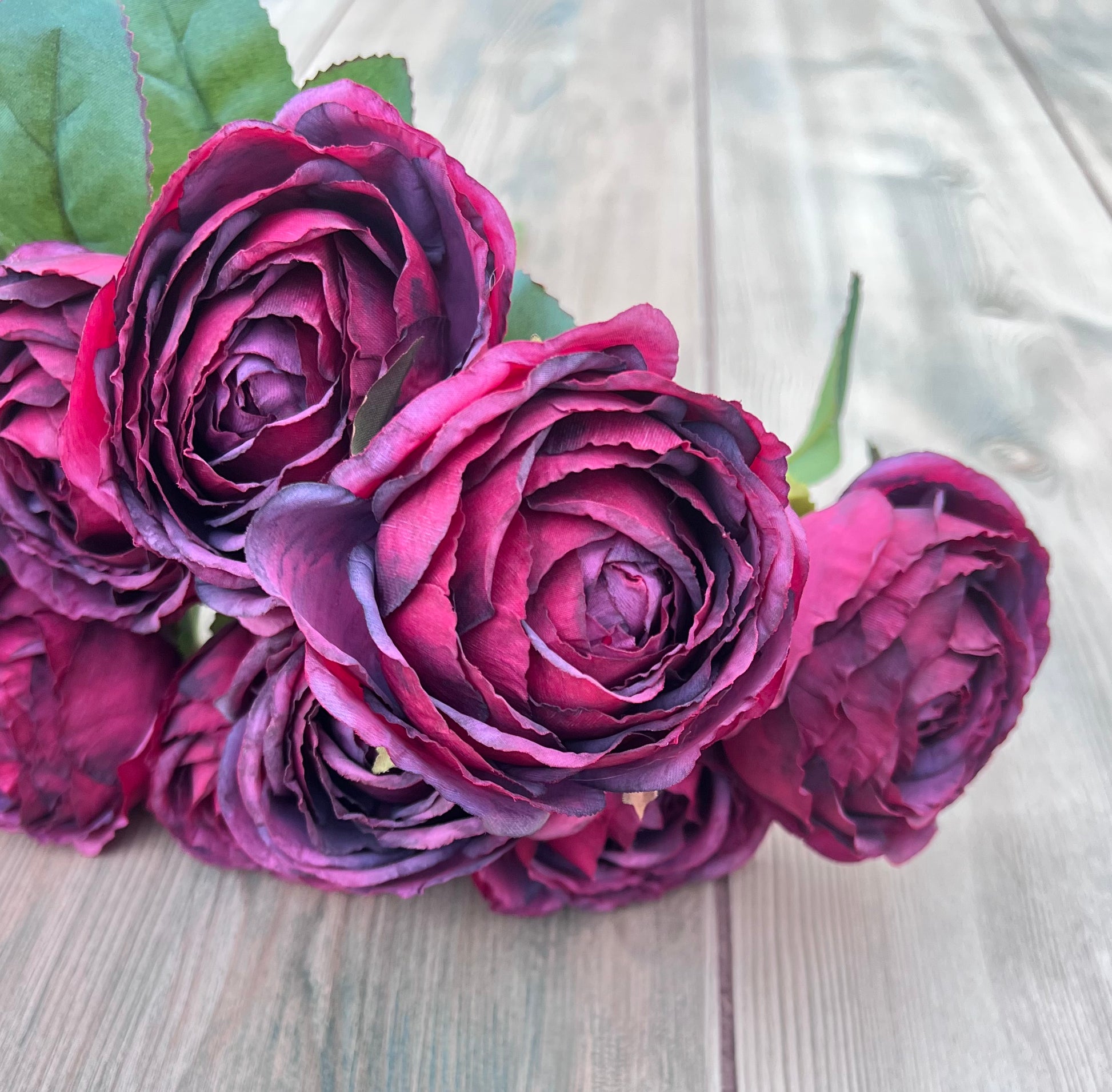 Close-up texture of Raspberry Plum cabbage rose petals highlighting layered fabric details