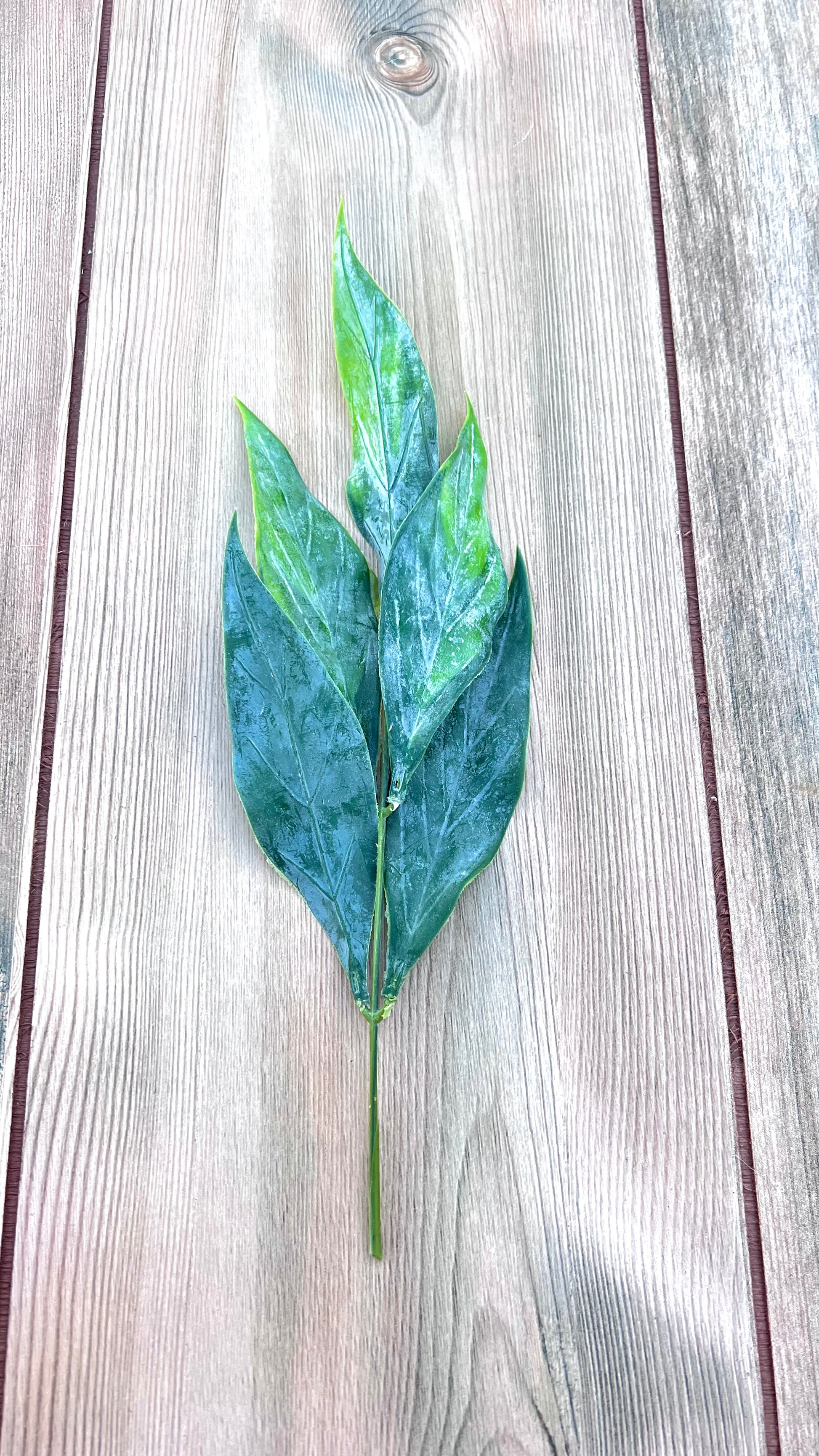 Leaf Bush- Green Tips showcasing layered leaf texture and natural surface variation
