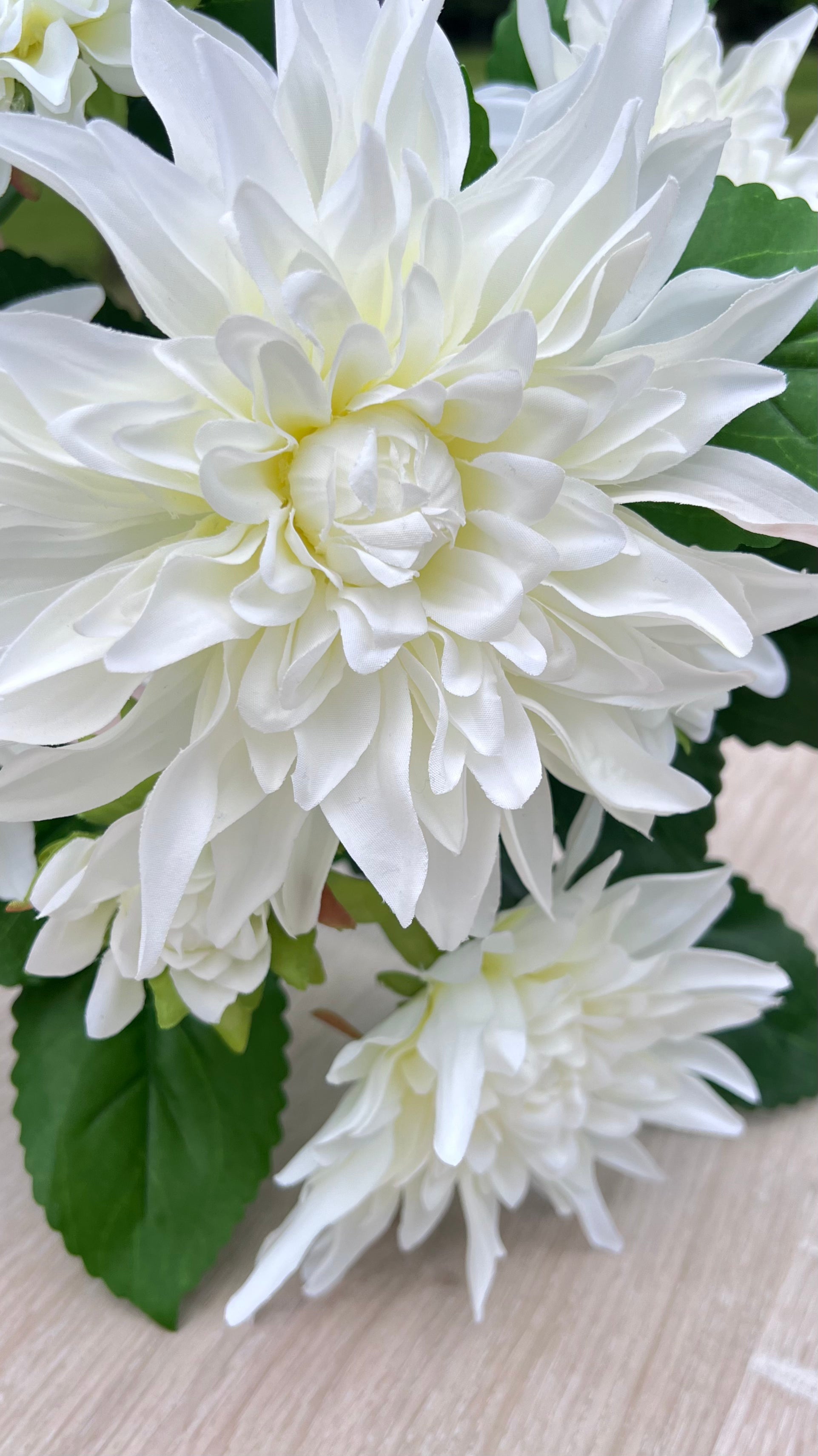 White Dahlia petals showcasing texture, layering, and realistic floral construction