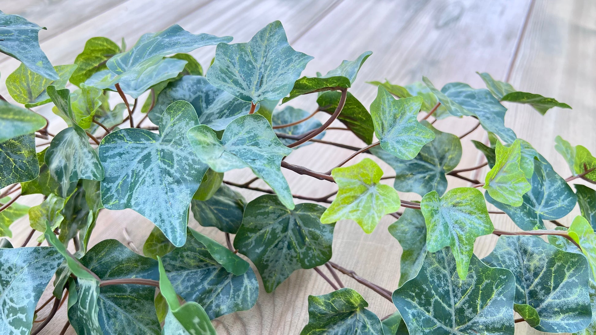 Texture detail of Hanging Ivy Bush — Frost  featuring layered foliage, leaf structure detail, and dimensional greenery