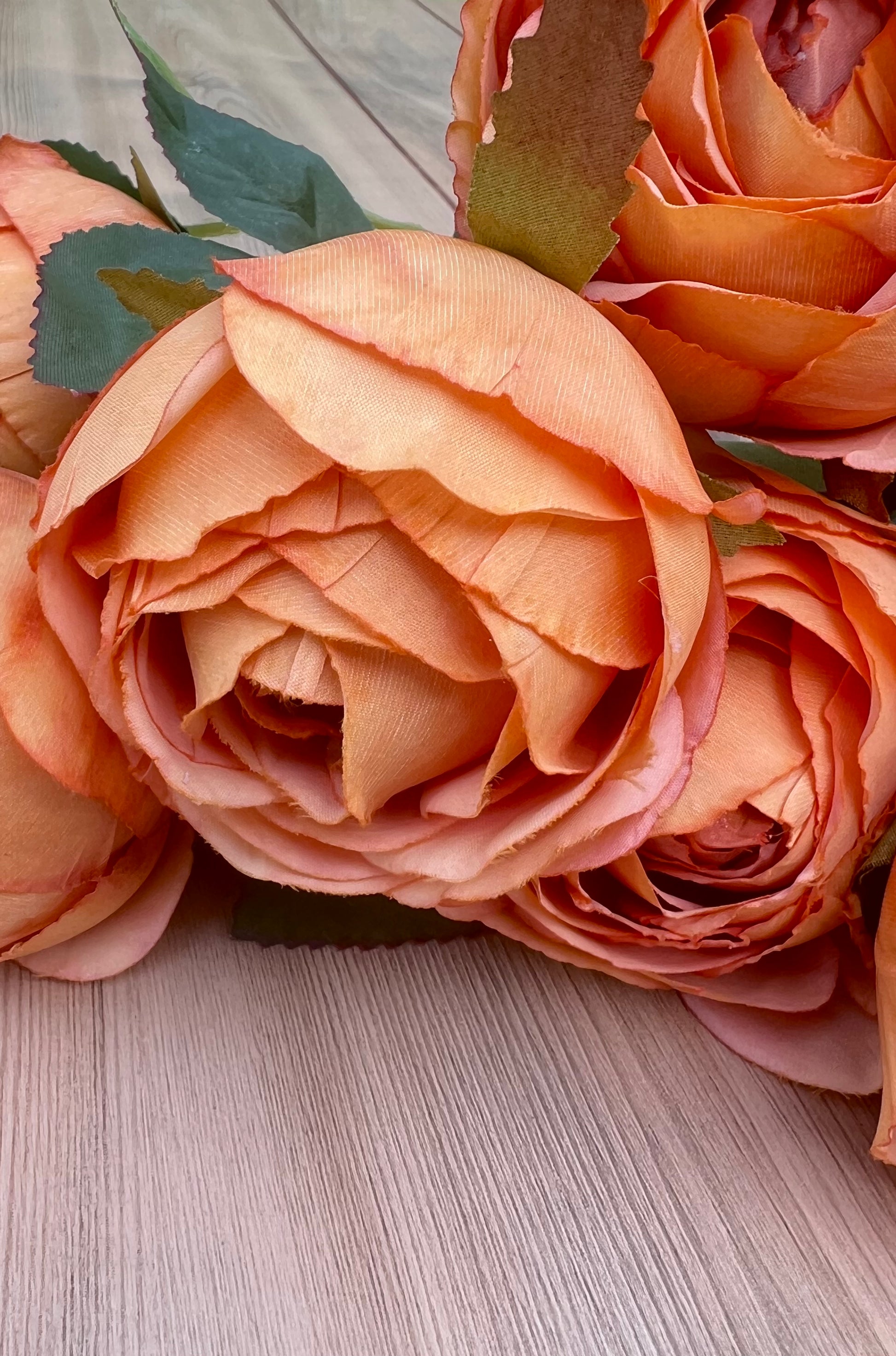Texture detail highlighting the layered petal construction of the Sunset Rust Cabbage Rose Bush