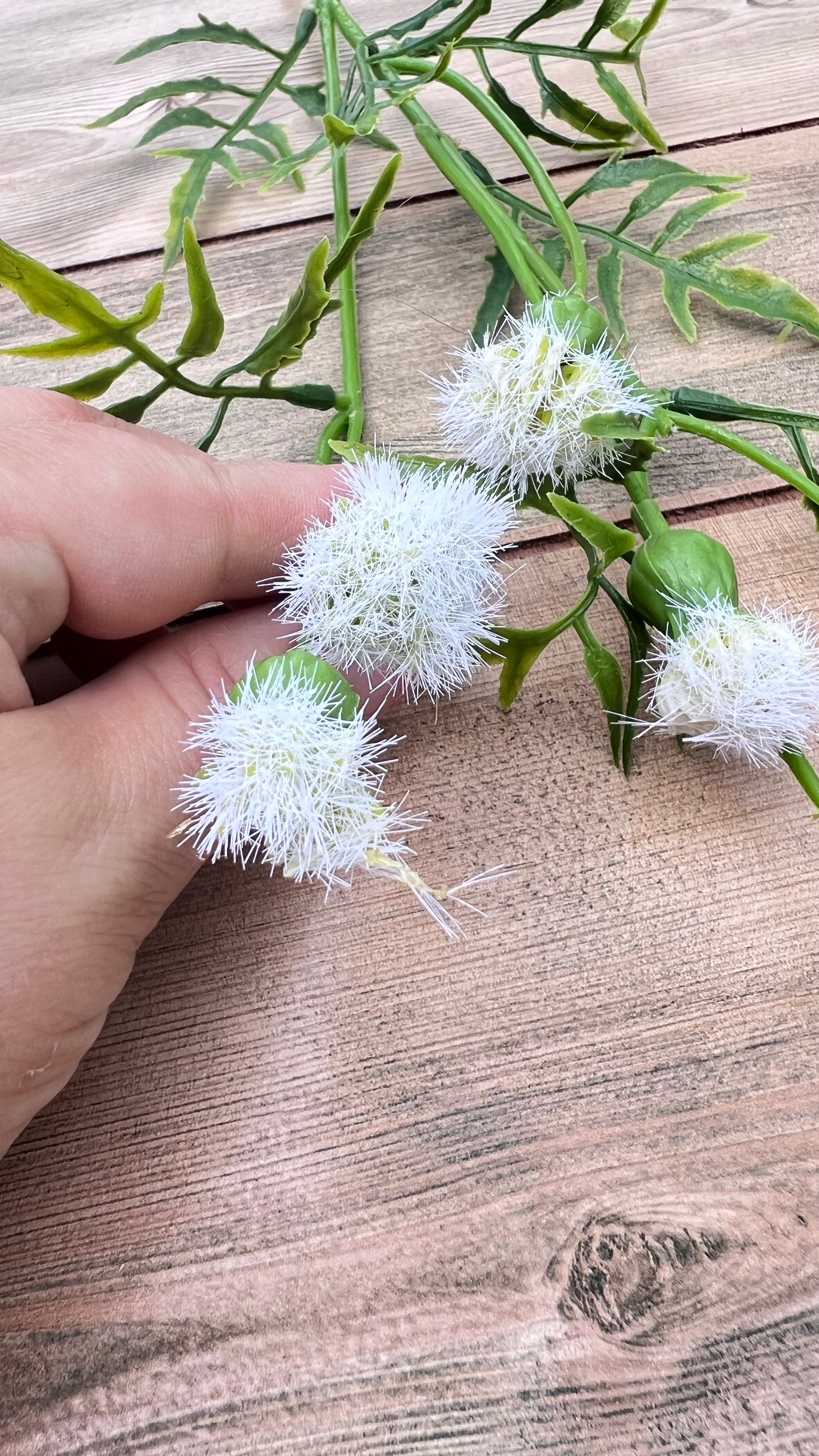 Texture detail of Cream Meadow Pod Spray featuring soft cream tufted pod accents