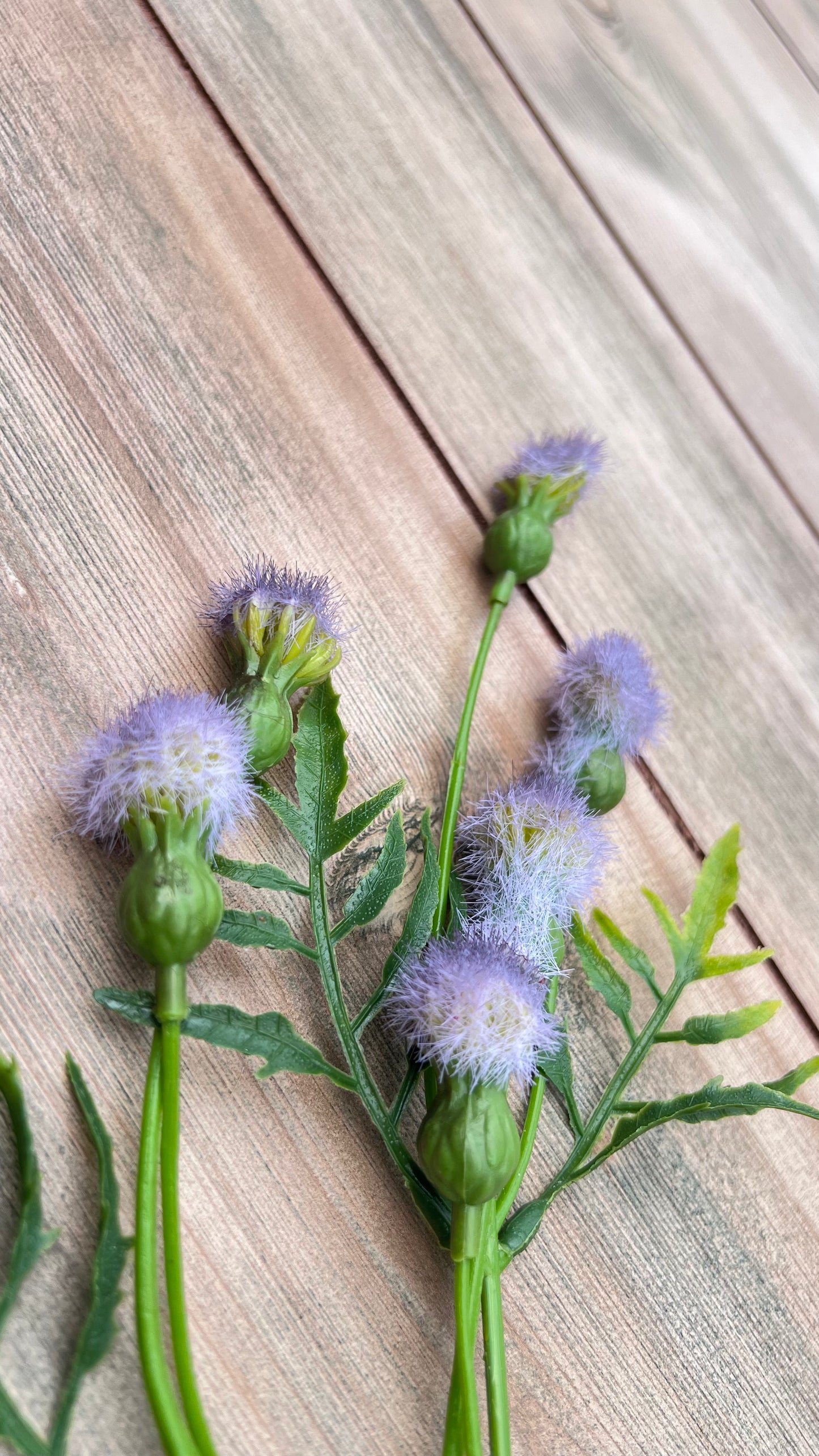 Texture detail of soft lavender tufted pods on the Purple Meadow Pod Spray