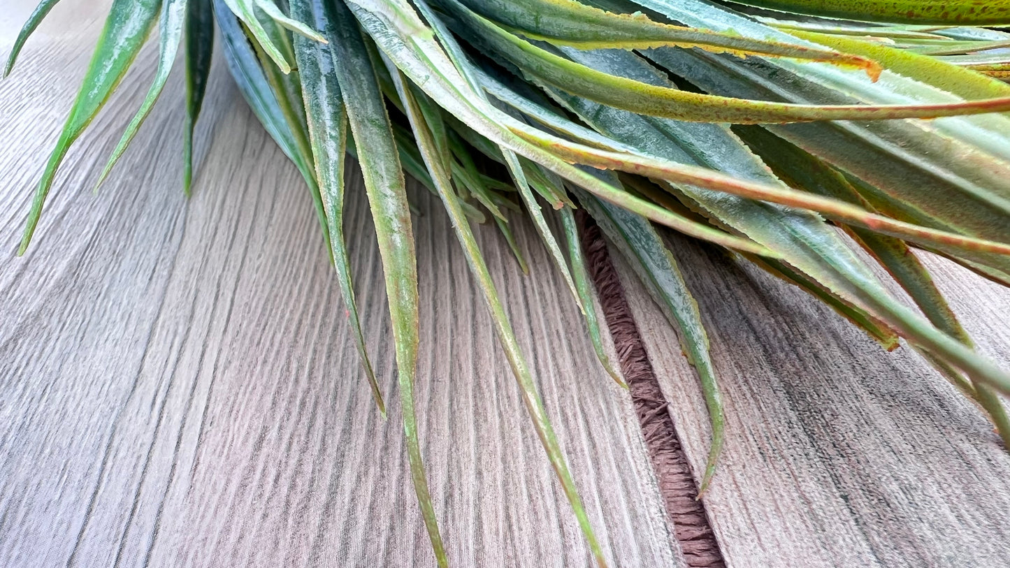 Textural detail of the Fine Grass Bush | Yellow Green  highlighting fine grassy texture