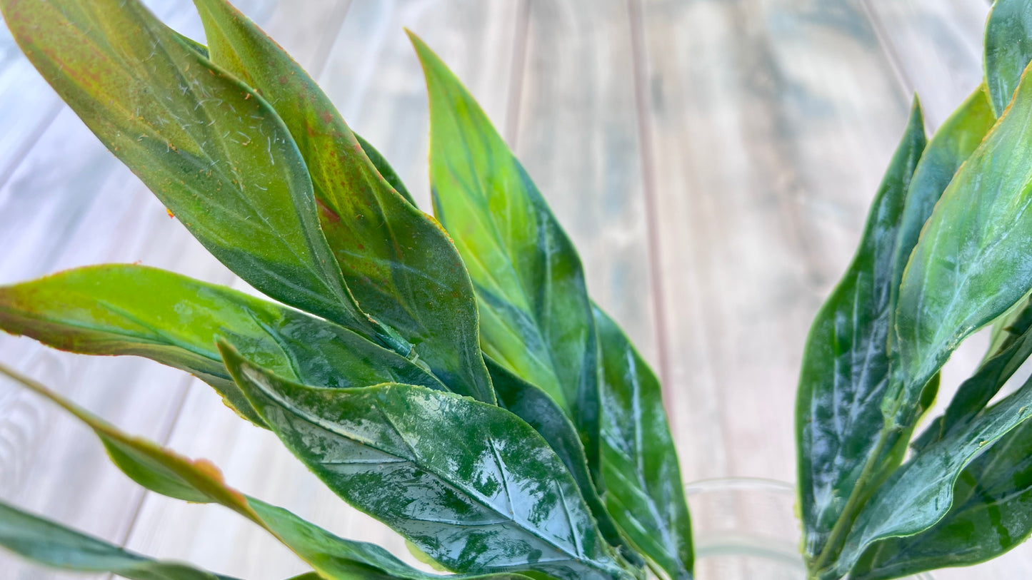 Detailed view of layered foliage from the Leaf Bush — Yellow Green showing surface texture and dimensional qualities