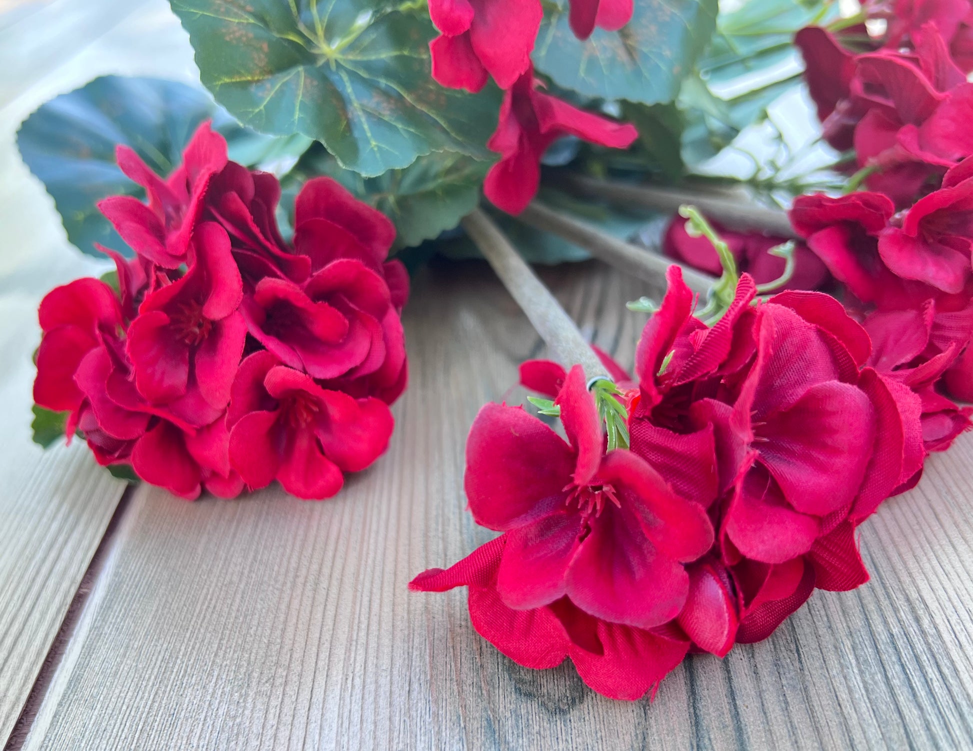 Textural details of the Red Geranium Bush showcasing layered petals and realistic floral construction