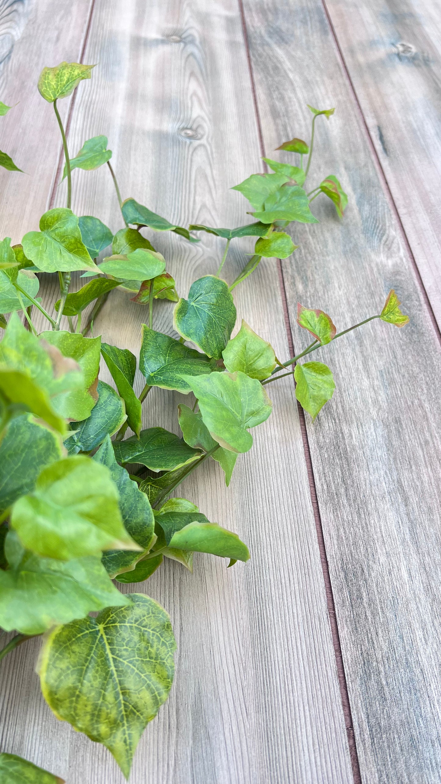 Color detail of the Cottonwood Ivy Bush in Light Green featuring fresh green tones and subtle tonal variation