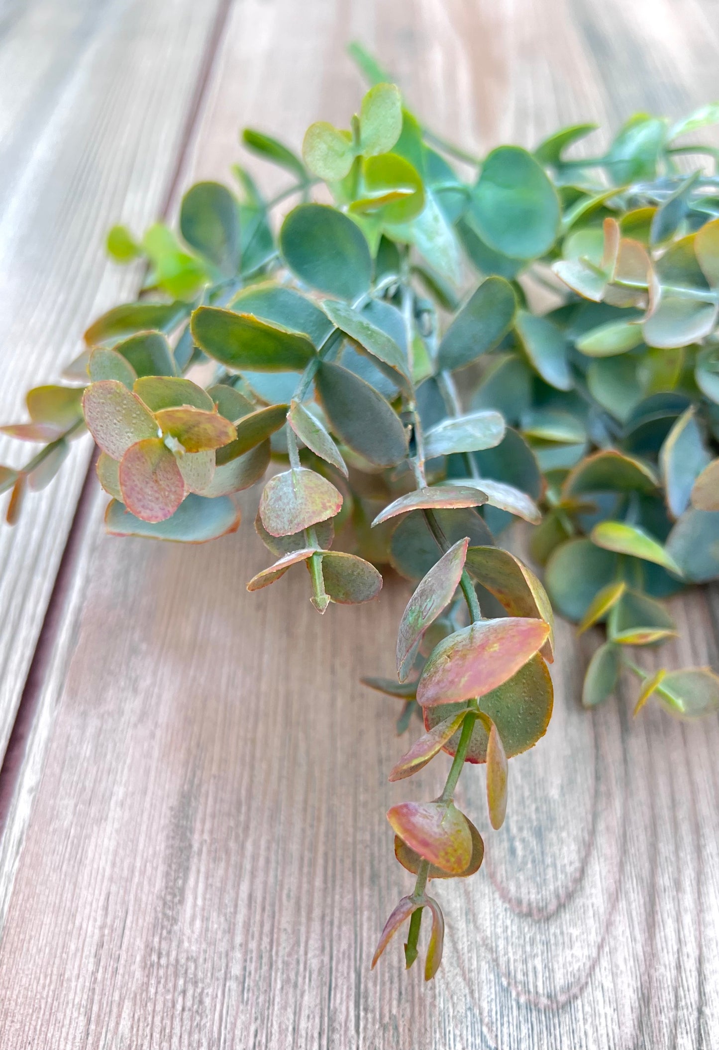 Color variation in Bronze Tips faux eucalyptus greenery featuring blue-green leaves and warm bronze accents