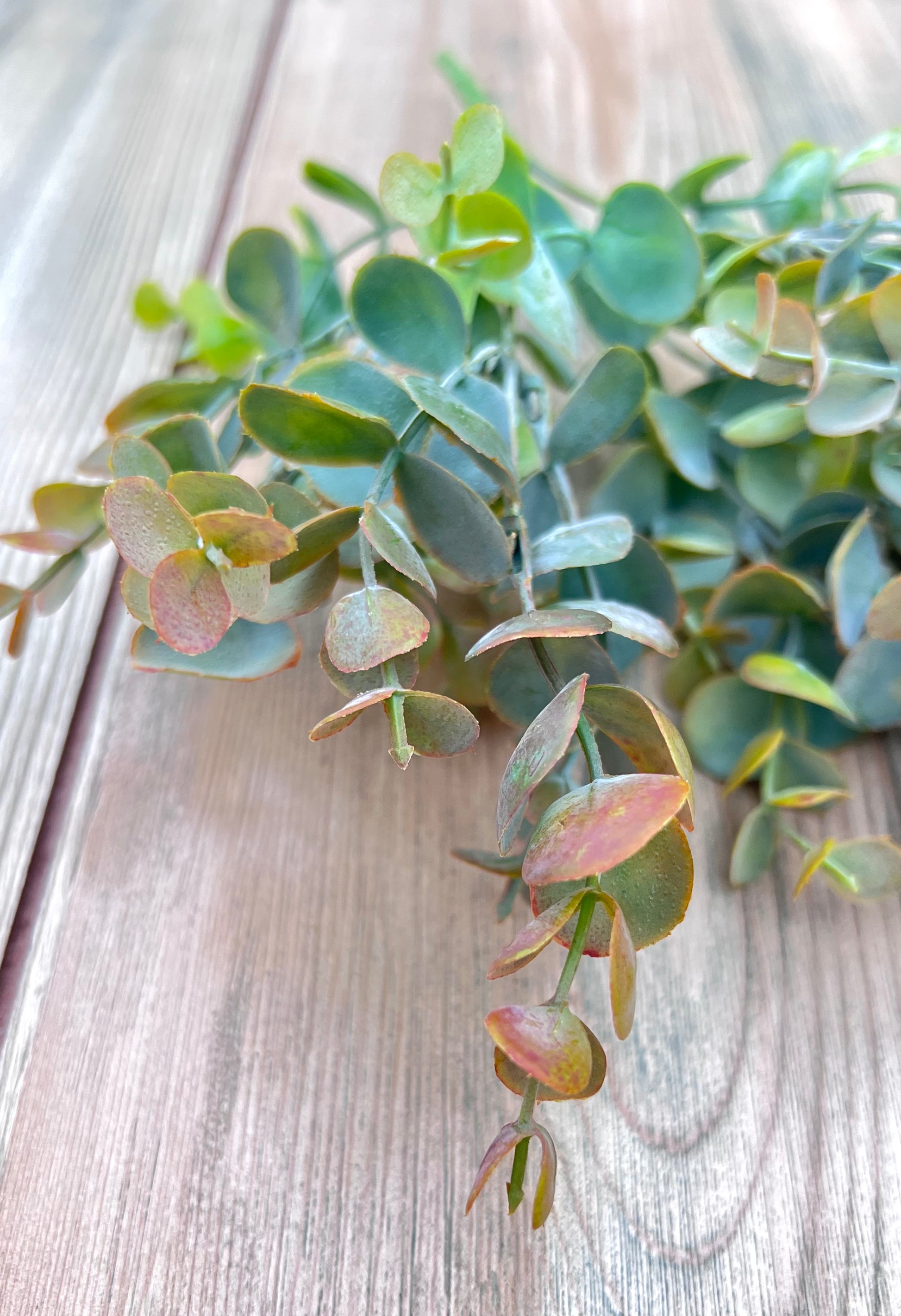 Color variation in Bronze Tips faux eucalyptus greenery featuring blue-green leaves and warm bronze accents