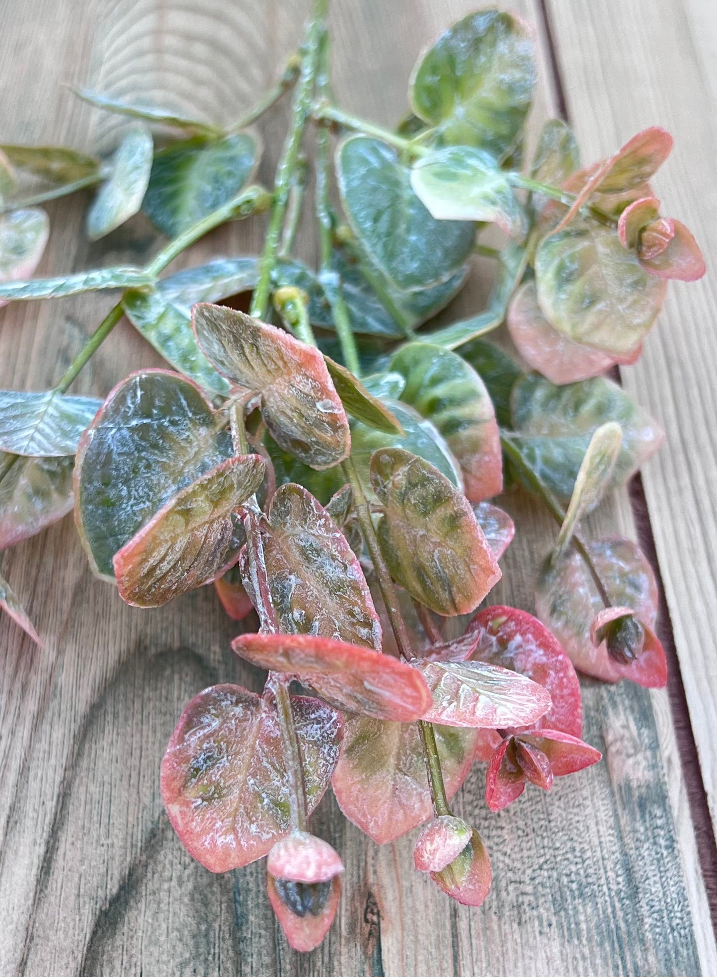Color detailing of the Wild Grass Bundle-frosted blush highlighting the color variation of blush pink, sage green, and cream tones