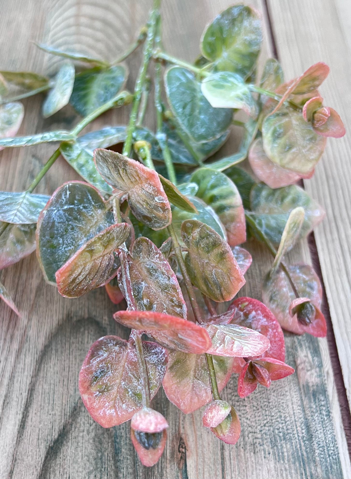 Color detailing of the Wild Grass Bundle-frosted blush highlighting the color variation of blush pink, sage green, and cream tones
