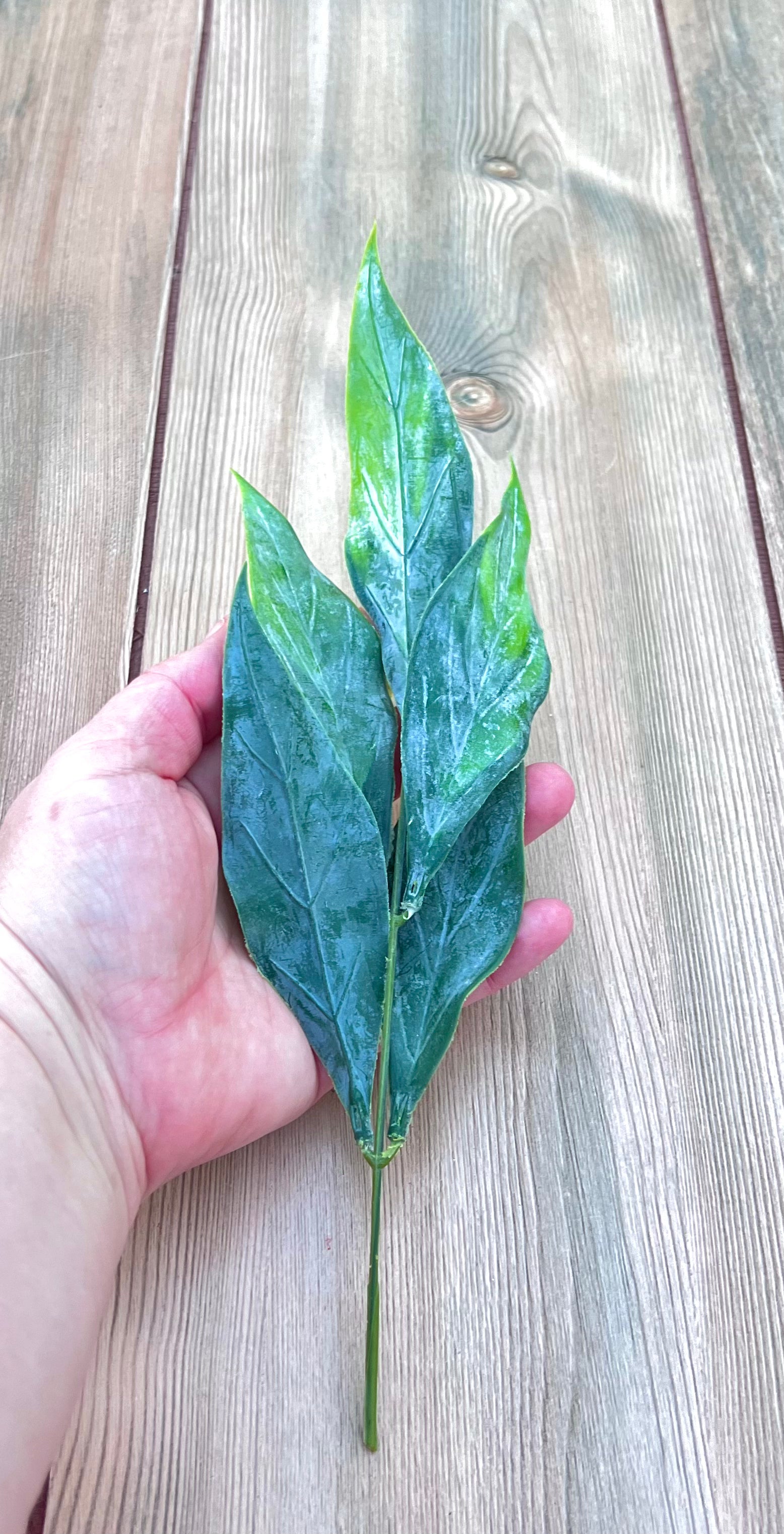 Leaf Bush- Green Tips detailing deep green foliage accented with fresh green tips