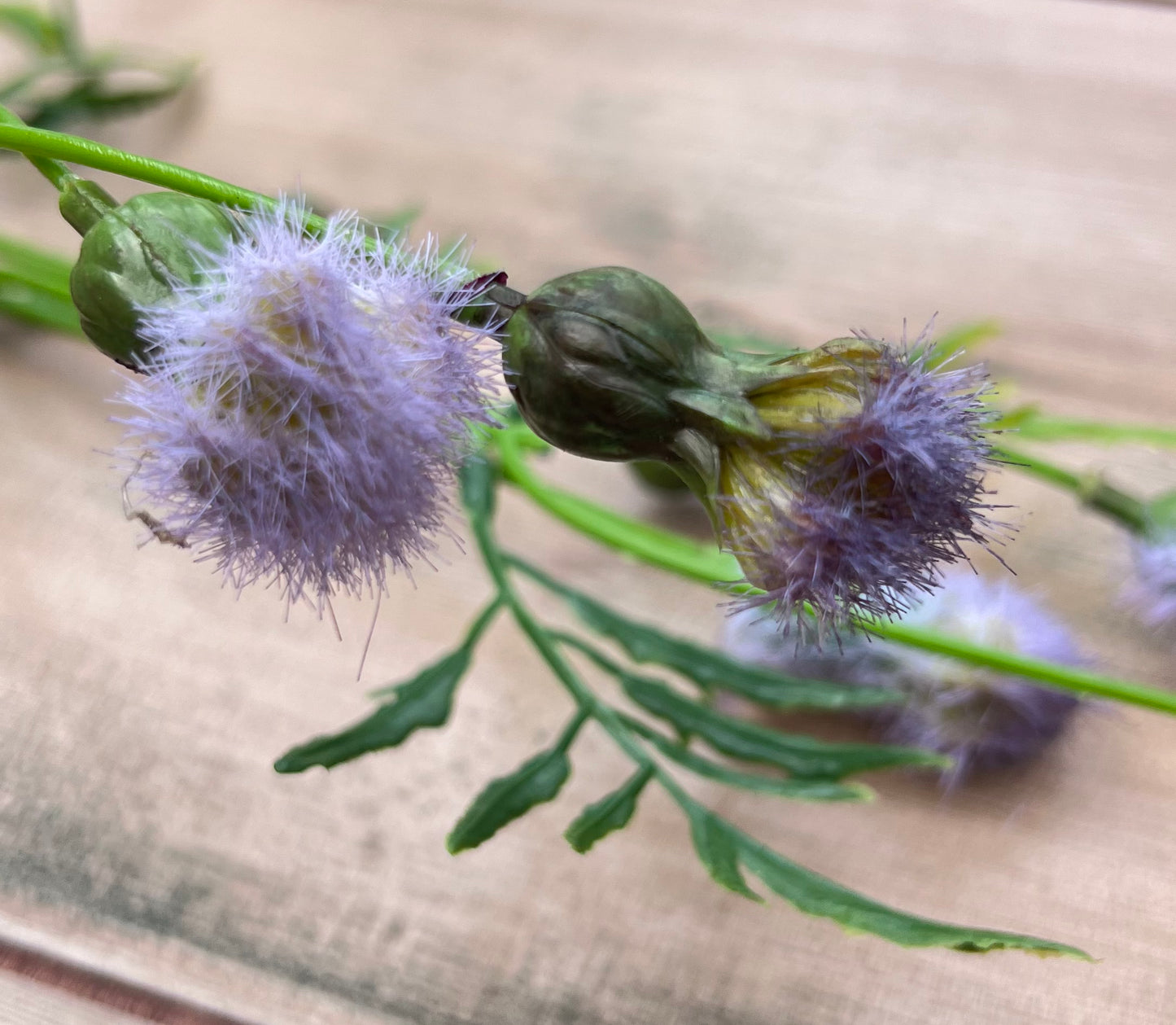 Color detail highlighting soft lavender tones on our Purple Meadow Pod Spray