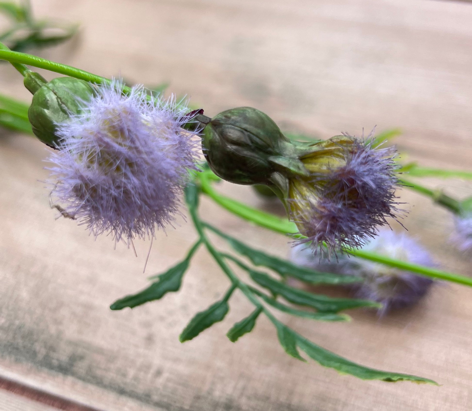 Color detail highlighting soft lavender tones on our Purple Meadow Pod Spray