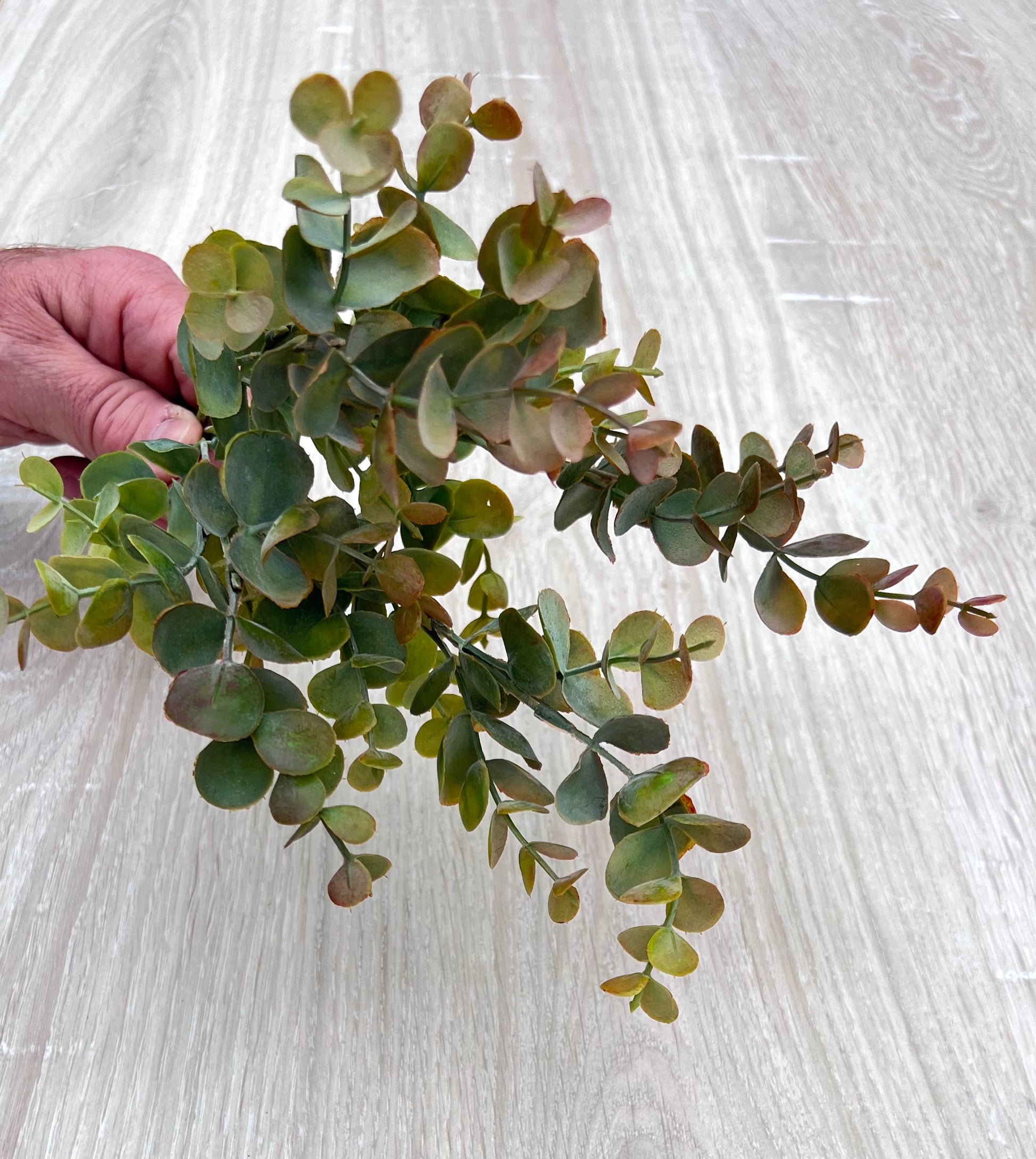 Designer's view of Bronze Tips artificial eucalyptus bush highlighting movement, fullness, and design potential
