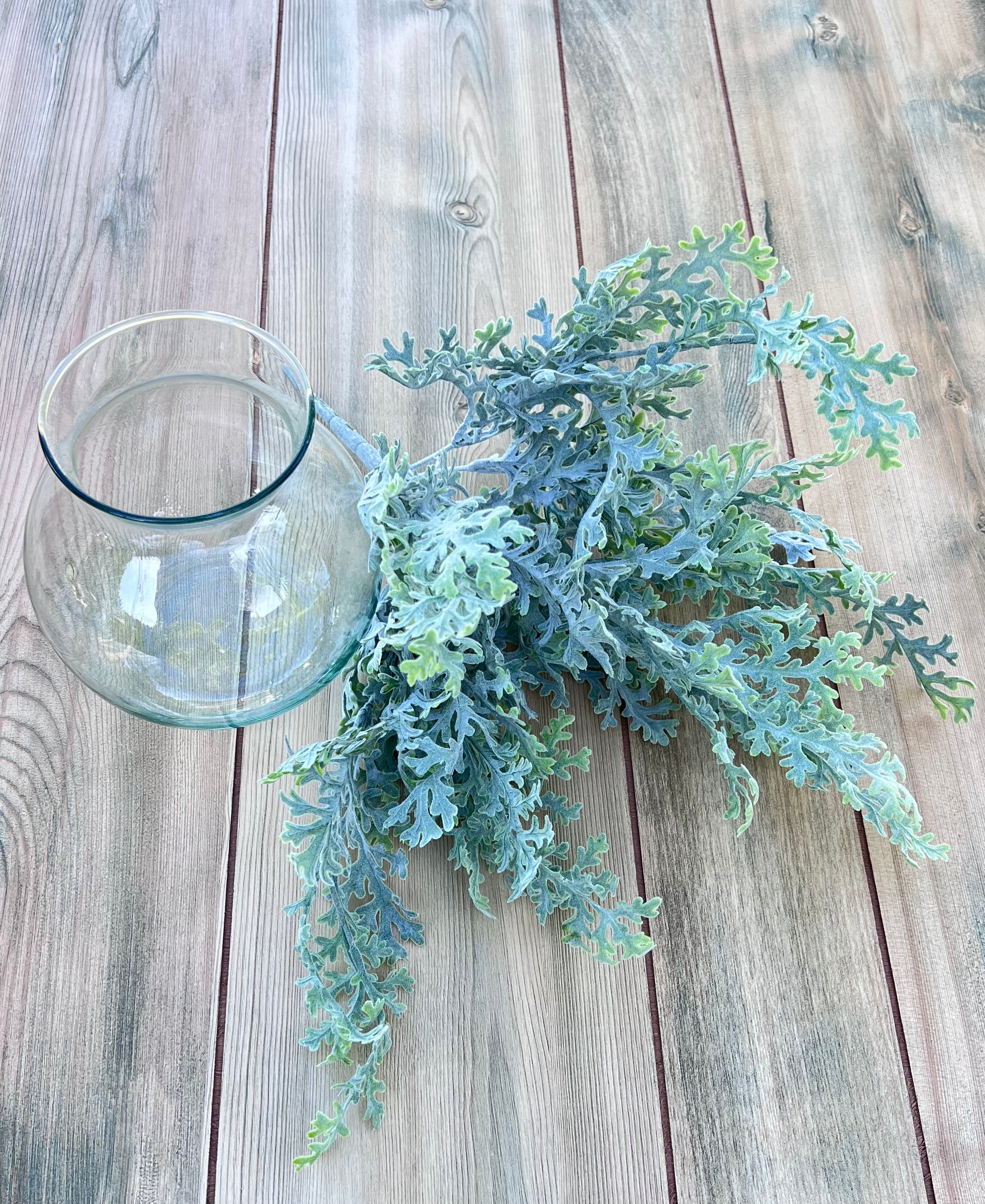 Dusty Miller Bush styled next to a glass vase, ready for wreaths, centerpieces, and floral arrangements