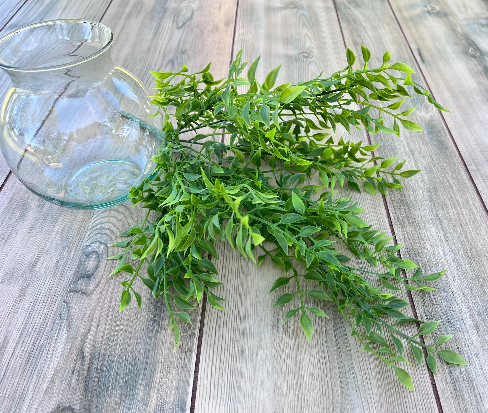 Smilax Bush displayed from a designer's perspective showing airy movement and natural form