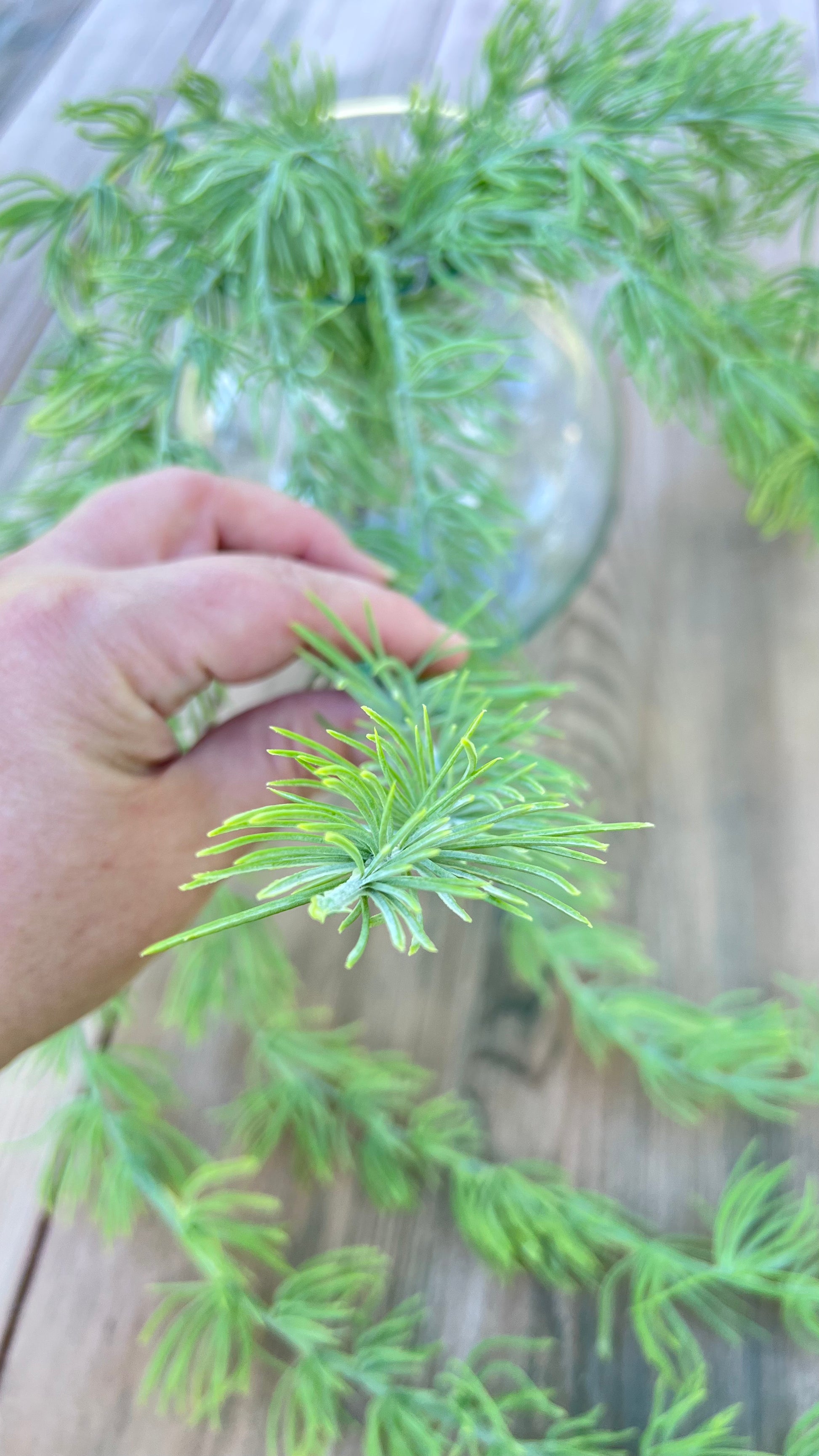 Designer's perspective of the Hanging Cluster Vine illustrating the detail and texture of soft needle-like foliage