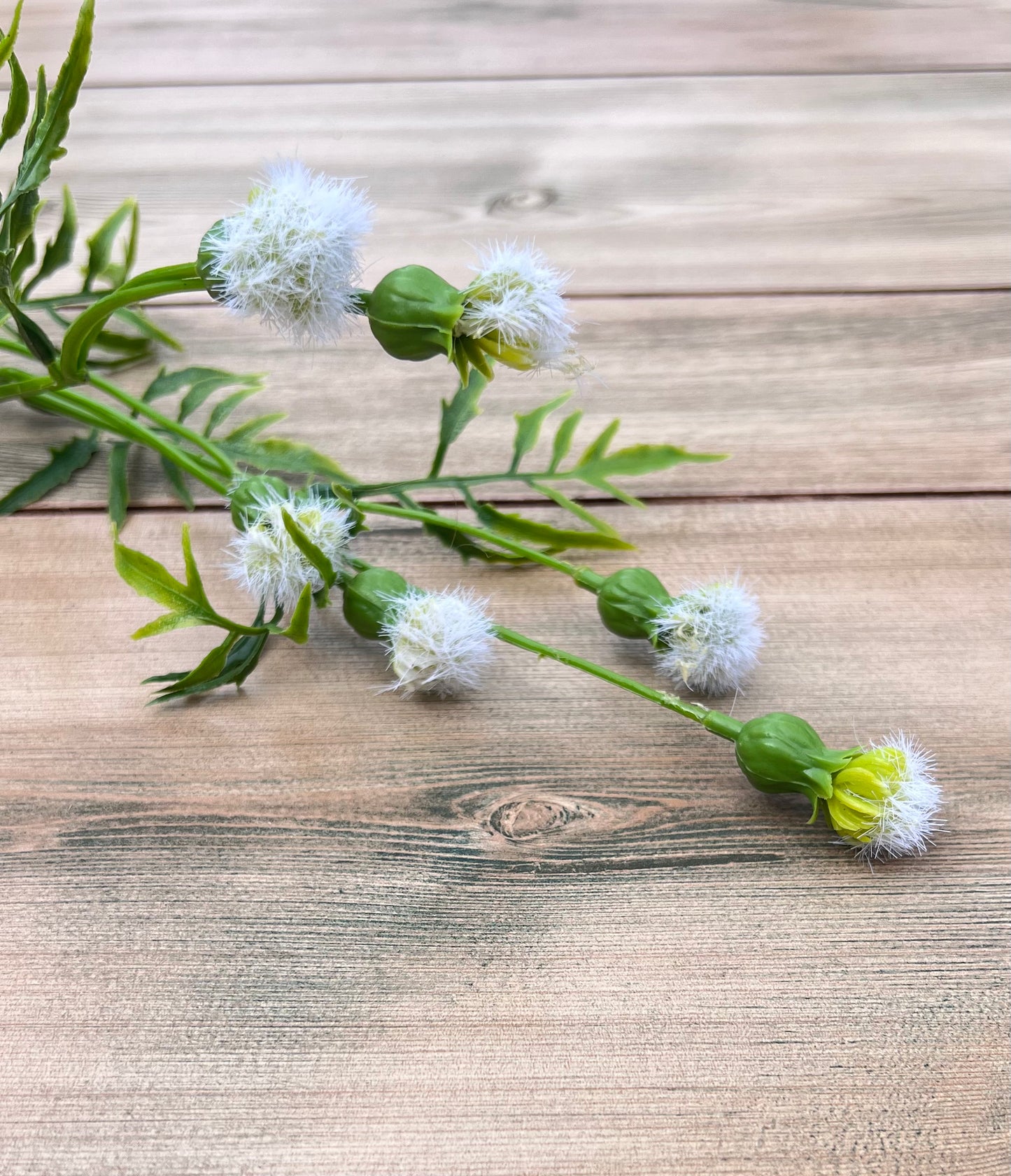 Cream Meadow Pod Spray chosen for its delicate tufted pods and airy movement