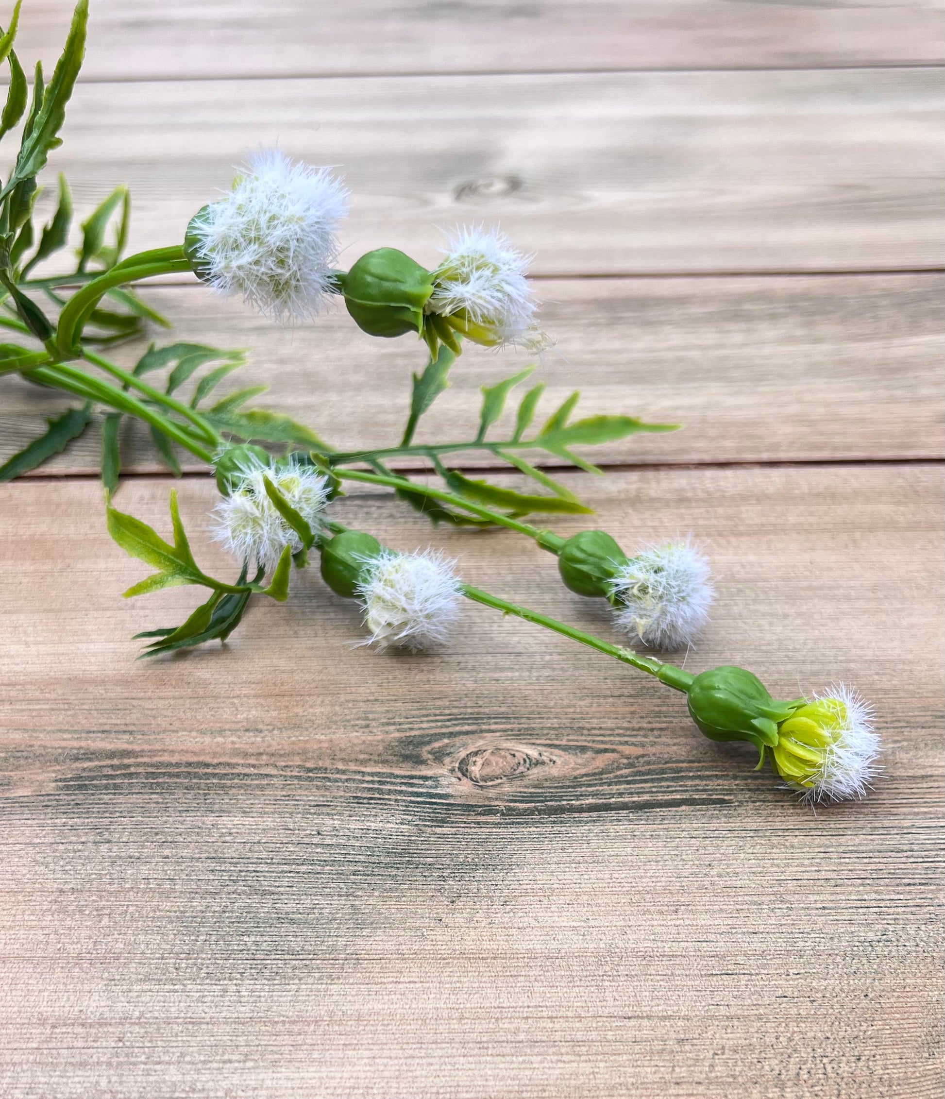 Cream Meadow Pod Spray chosen for its delicate tufted pods and airy movement