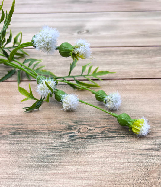 Cream Meadow Pod Spray chosen for its delicate tufted pods and airy movement