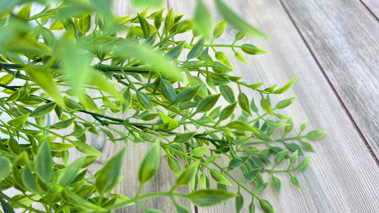 Smilax Bush, a faux greenery bush sourced by Gardenbug Designs featuring airy movement and vibrant green foliage