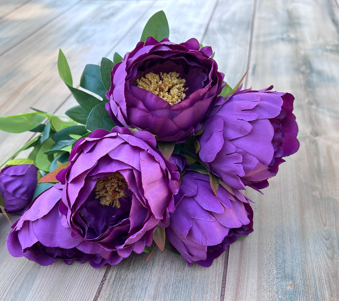 Peony Bush- Purple