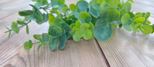 Spring Green Eucalyptus Bush with fresh two-tone foliage, sourced by Gardenbug Designs