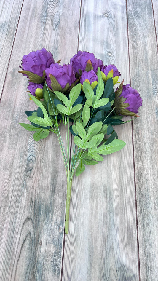 Peony Bush- Purple