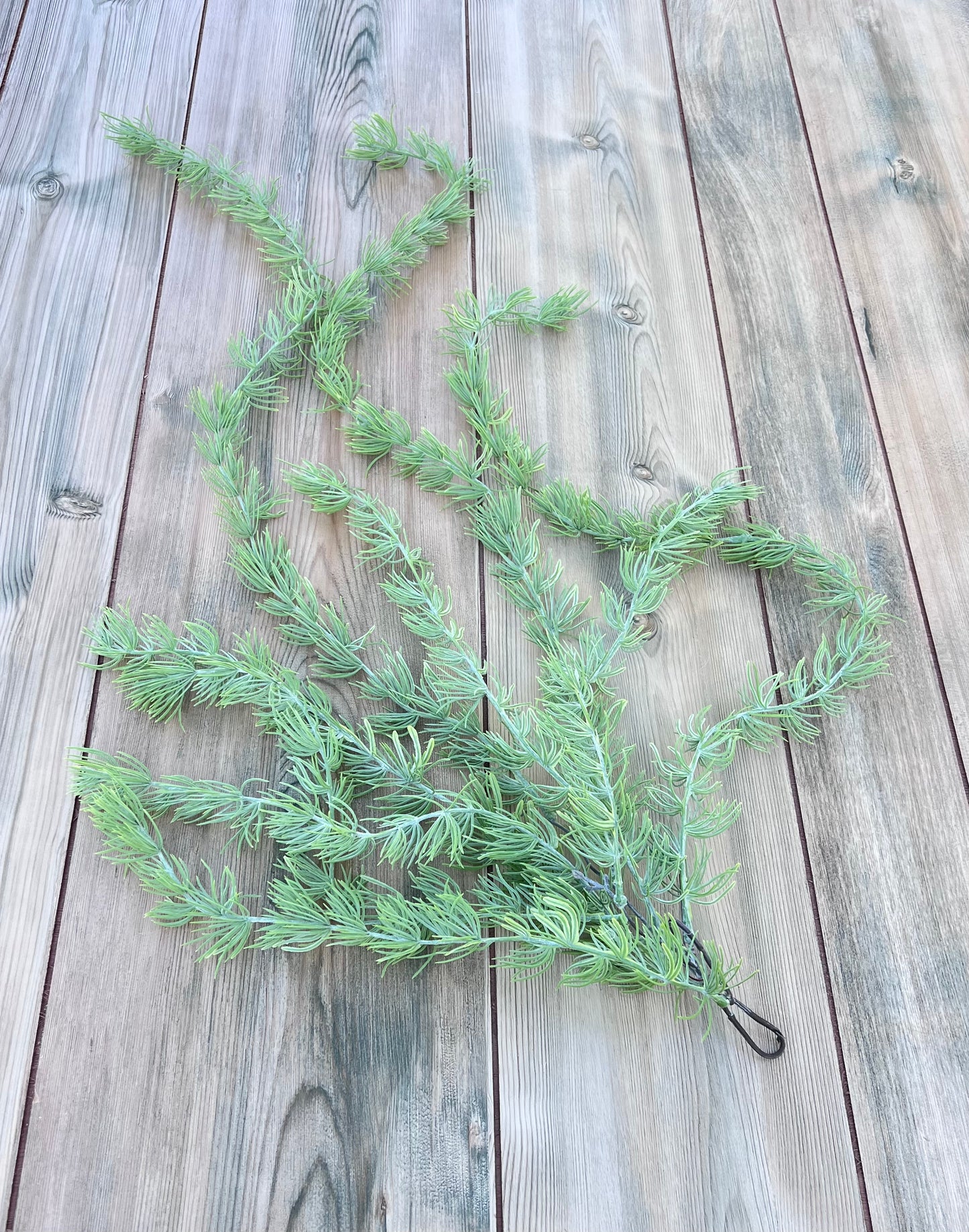 Hanging Cluster Vine shown in full, featuring long trailing vines with needle-like foliage and soft sage green tones accented by yellow-green highlights.