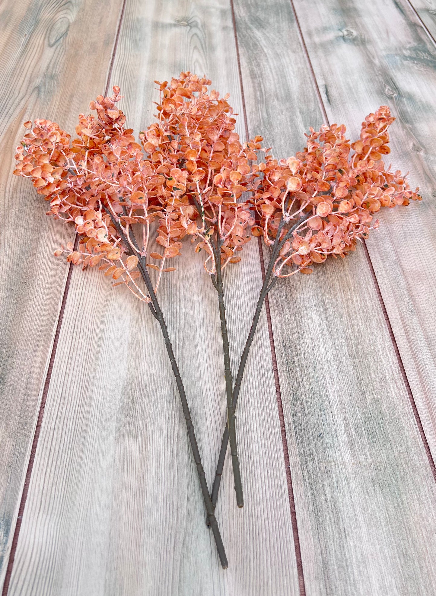 Apricot Eucalyptus Bundle shown from alternate perspective highlighting the airy form and natural movement of the individual stems