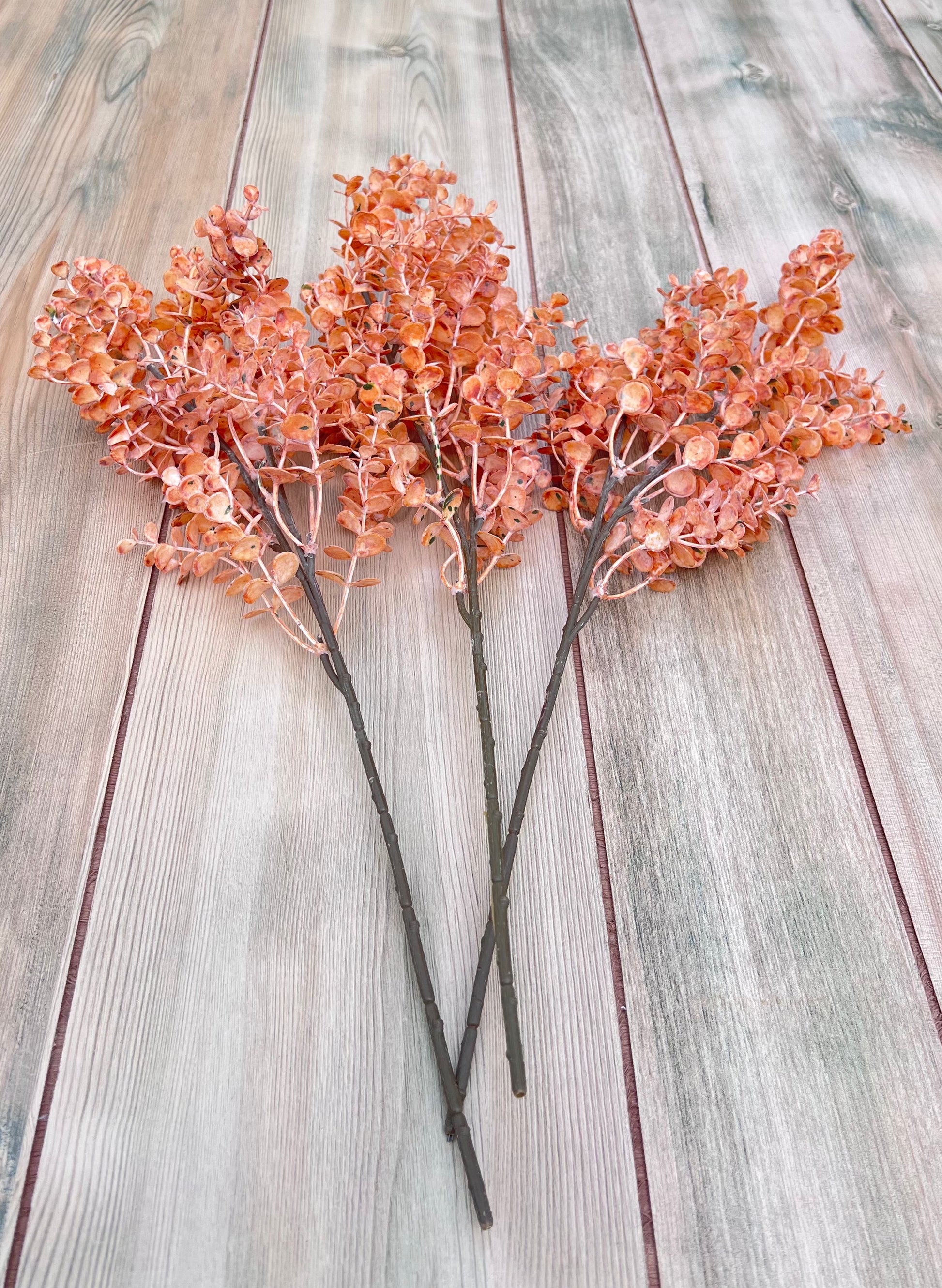 Apricot Eucalyptus Bundle shown from alternate perspective highlighting the airy form and natural movement of the individual stems